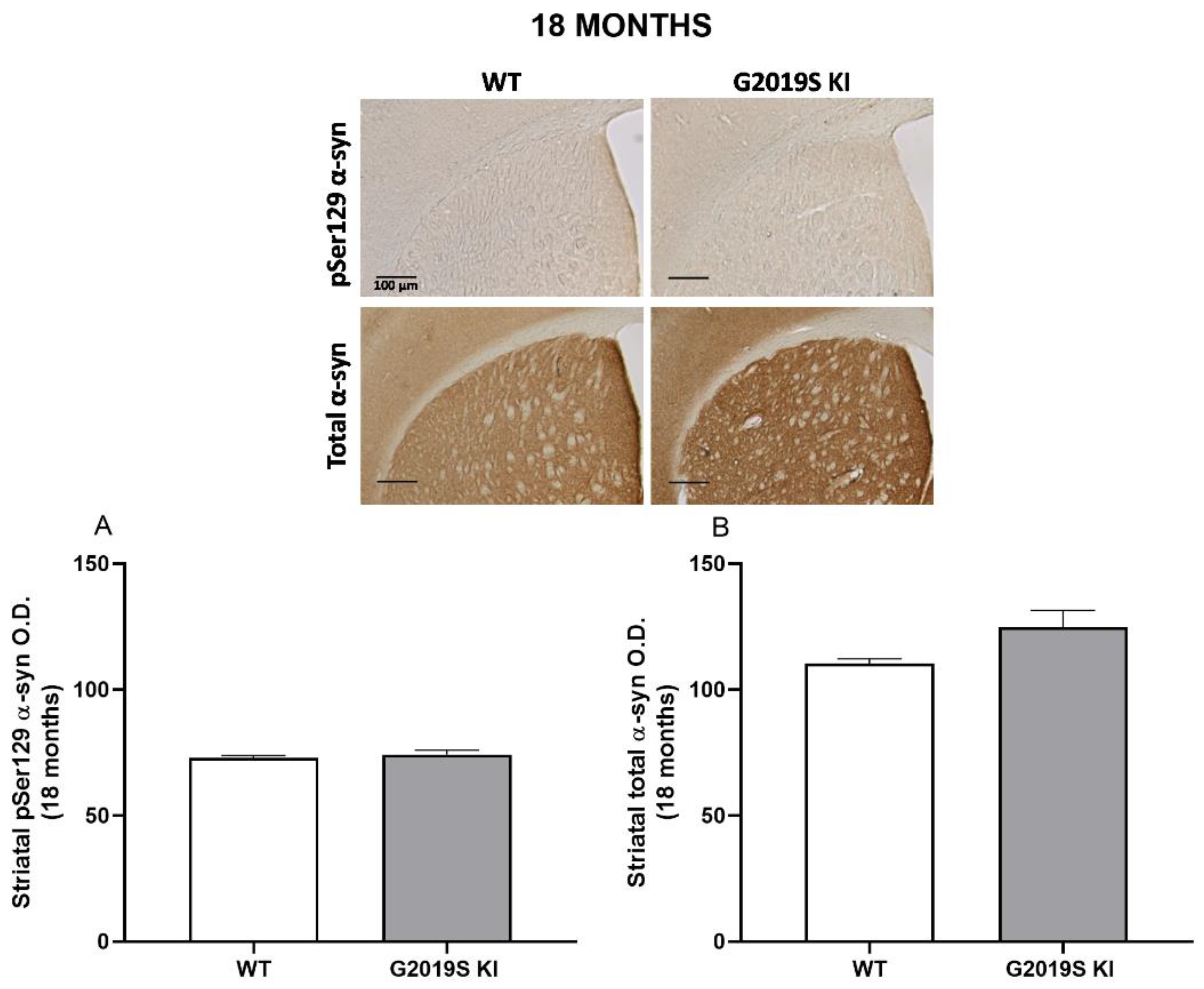 Biomedicines 10 00881 g008