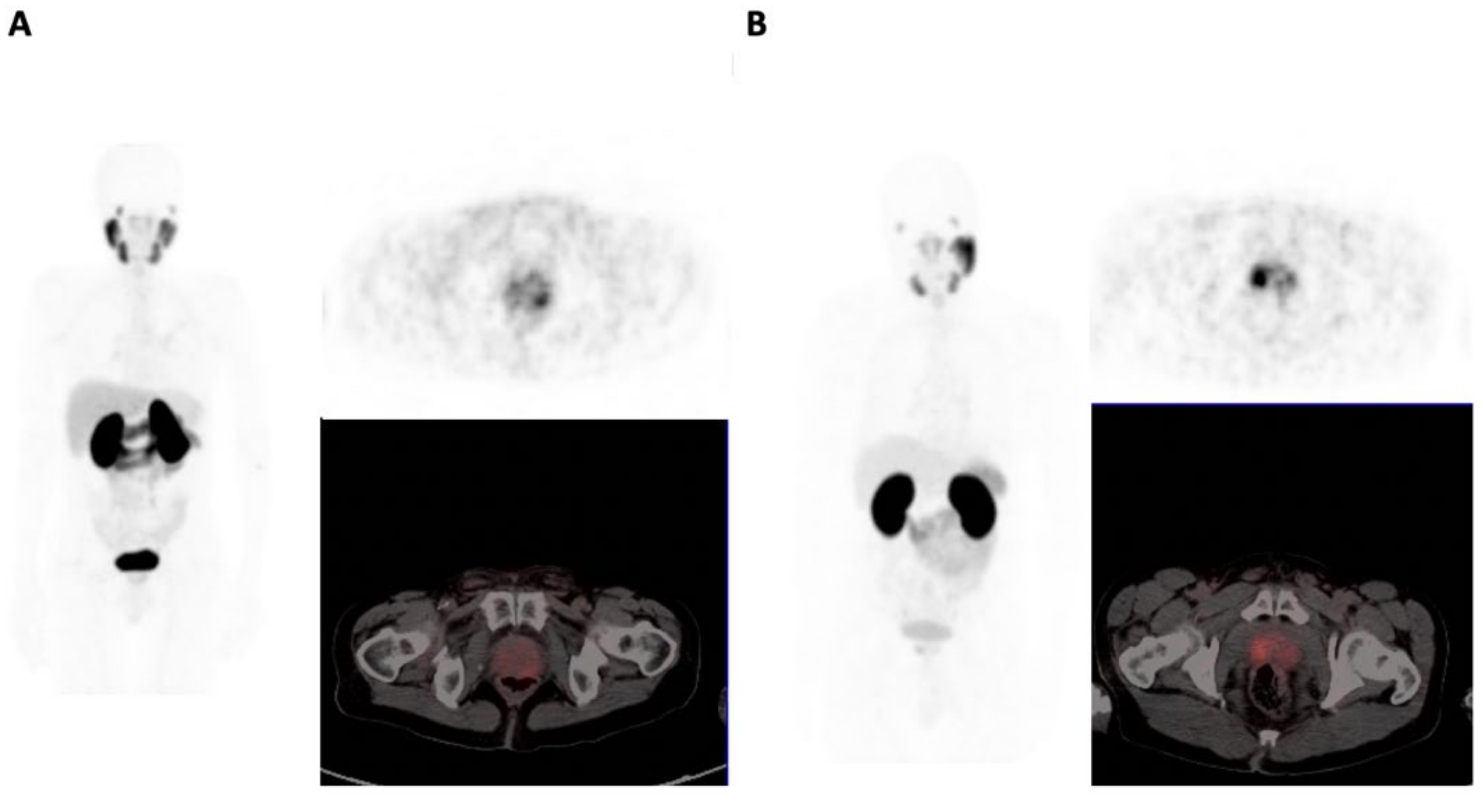 Biomedicines 10 00882 g002 550
