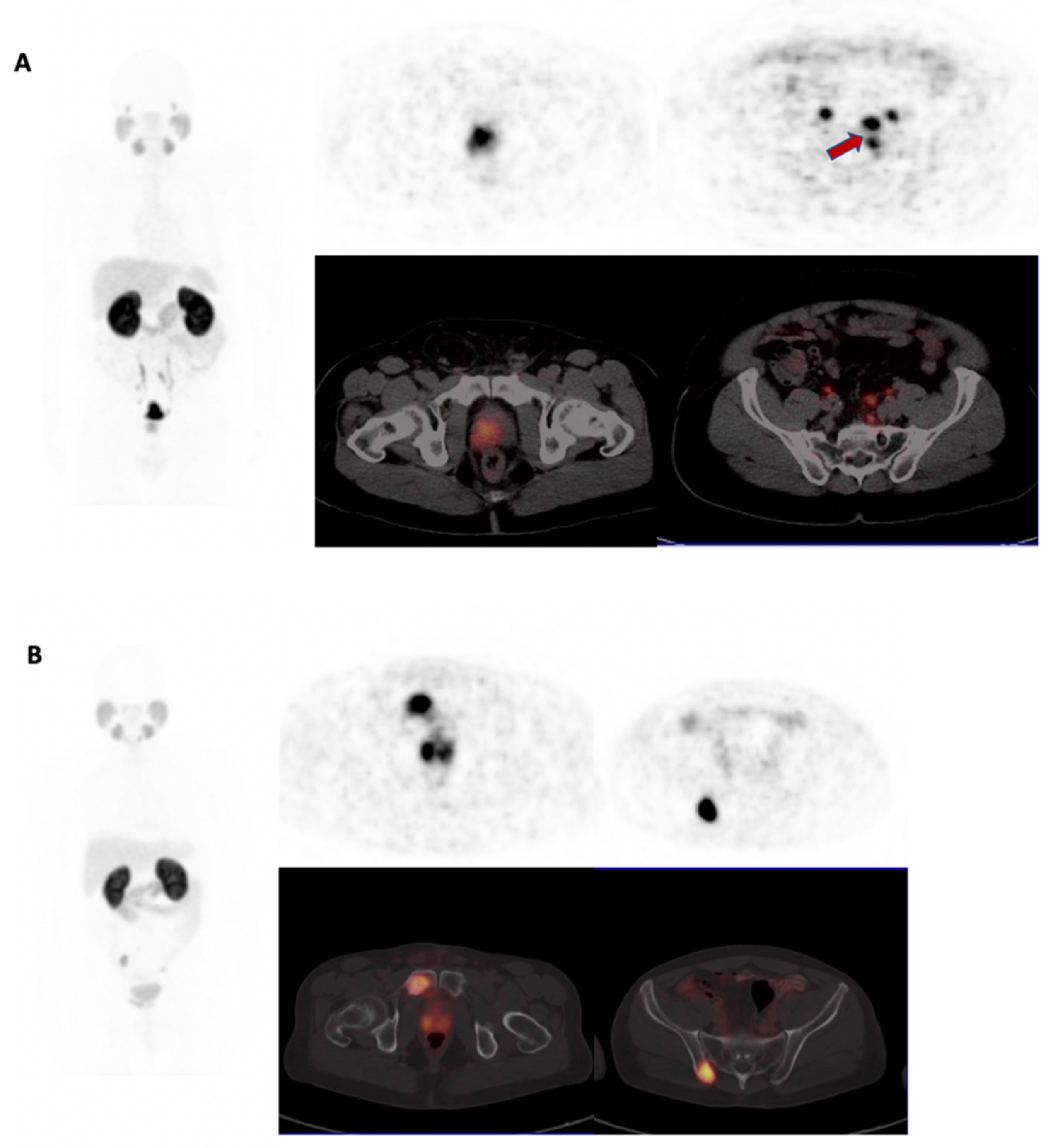 Biomedicines 10 00882 g003 550