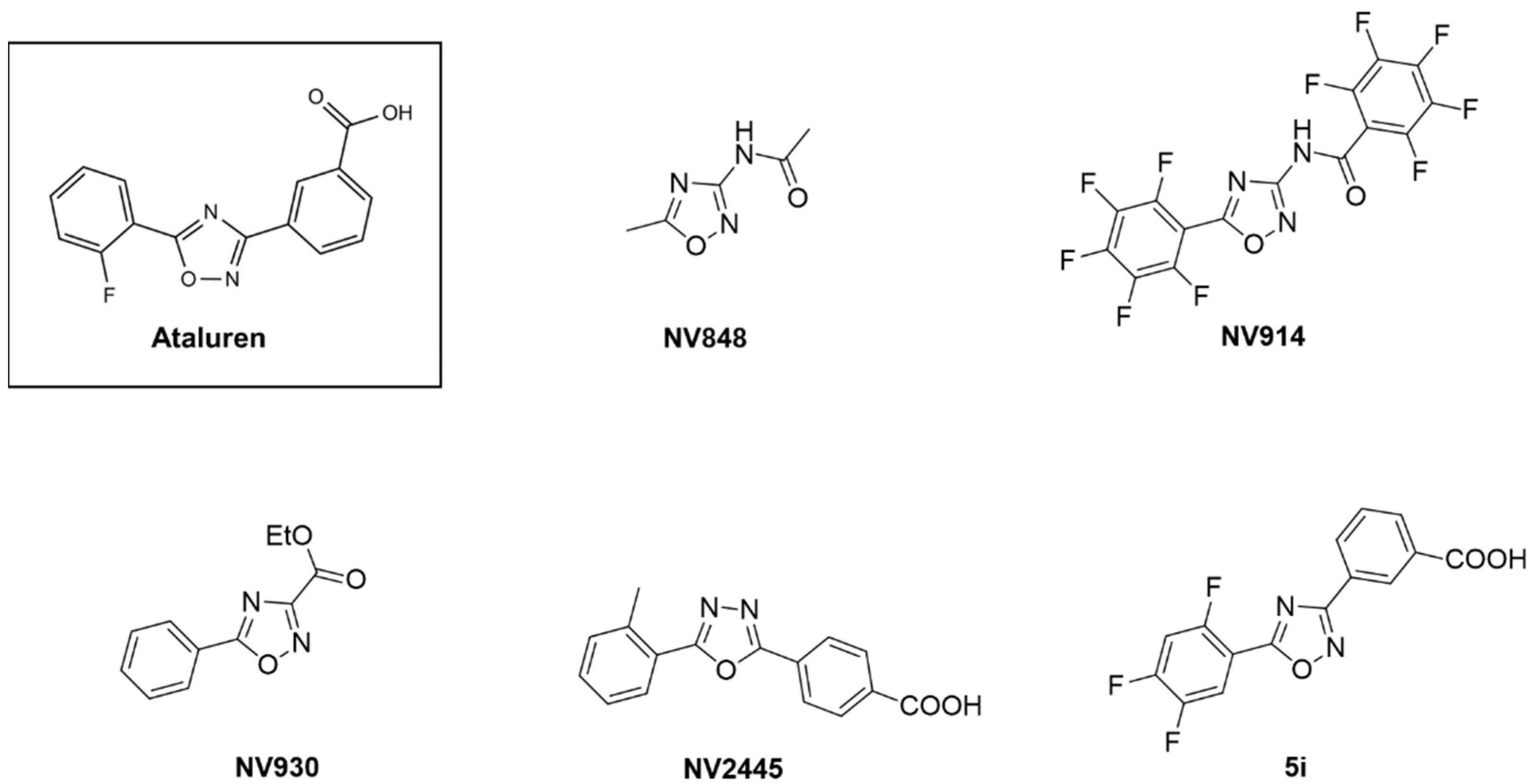 Biomedicines 10 00886 g001