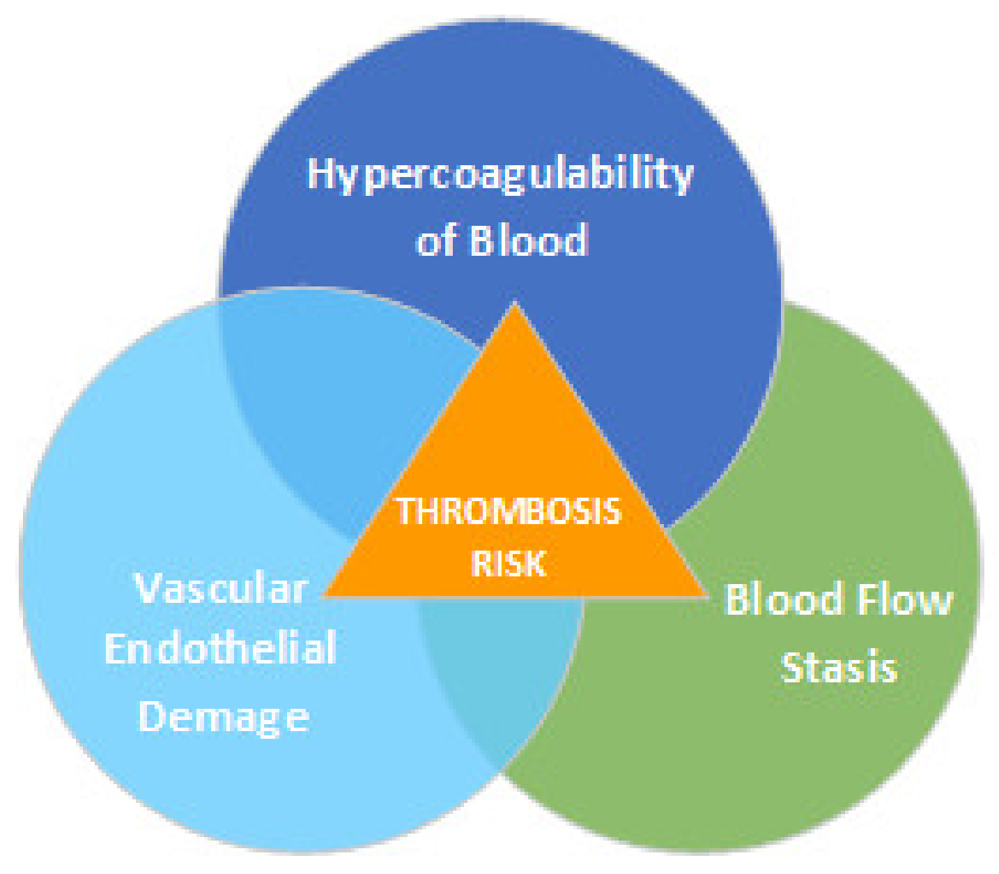 Biomedicines 10 00888 g001