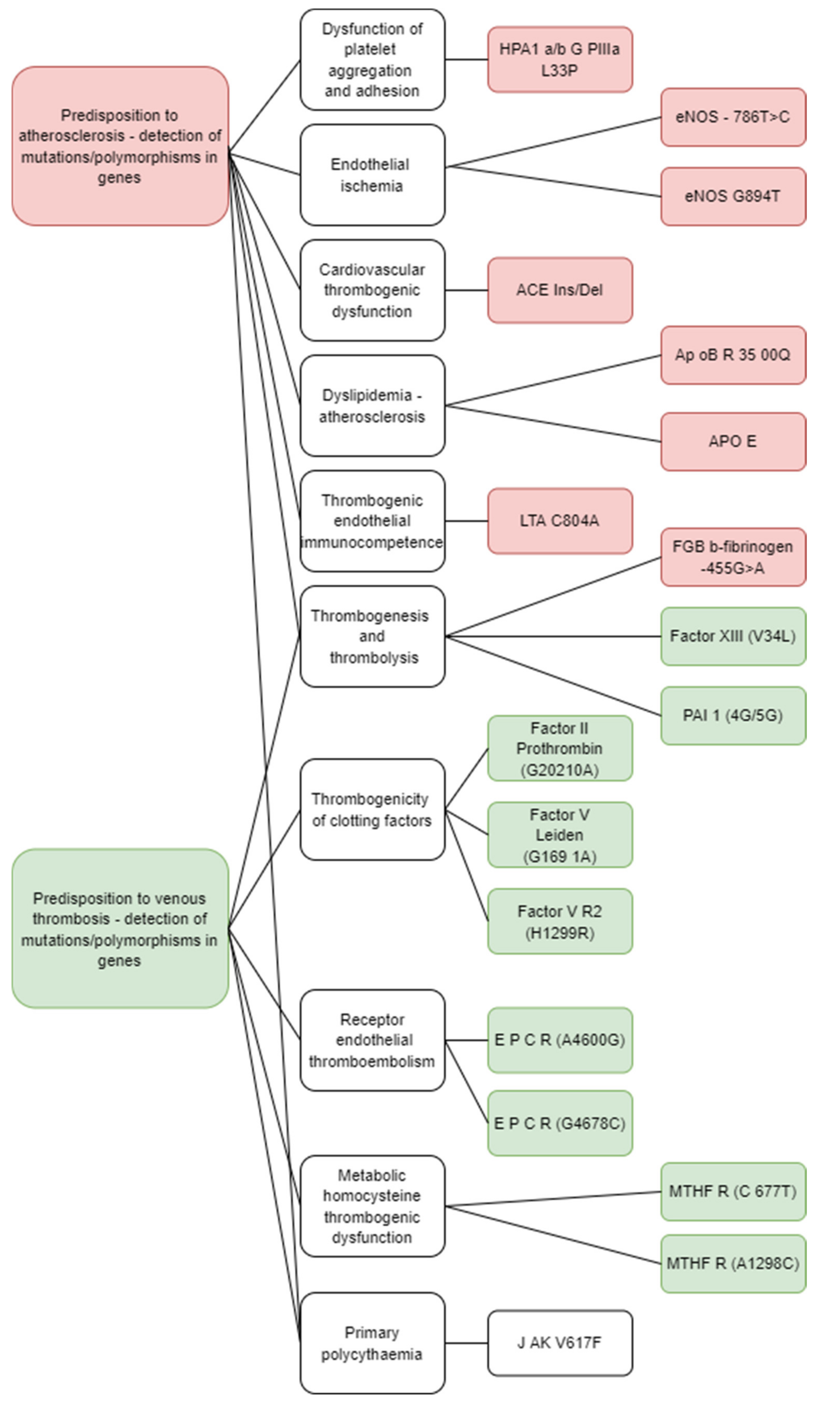 Biomedicines 10 00888 g002