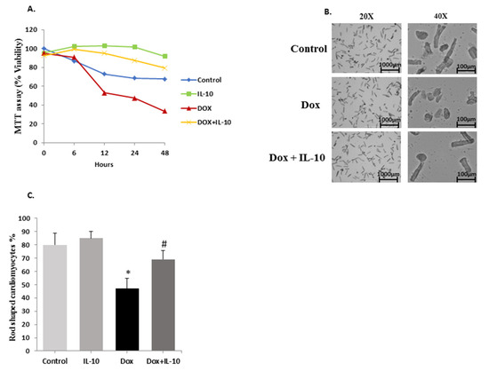 Mi-2β promotes immune evasion in melanoma by activating EZH2