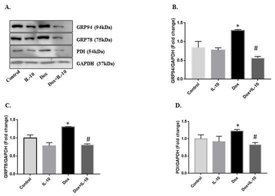 Interleukin-10 Mitigates Doxorubicin-Induced Endoplasmic Interleukin-10 Mitigates Doxorubicin-Induced Endoplasmic