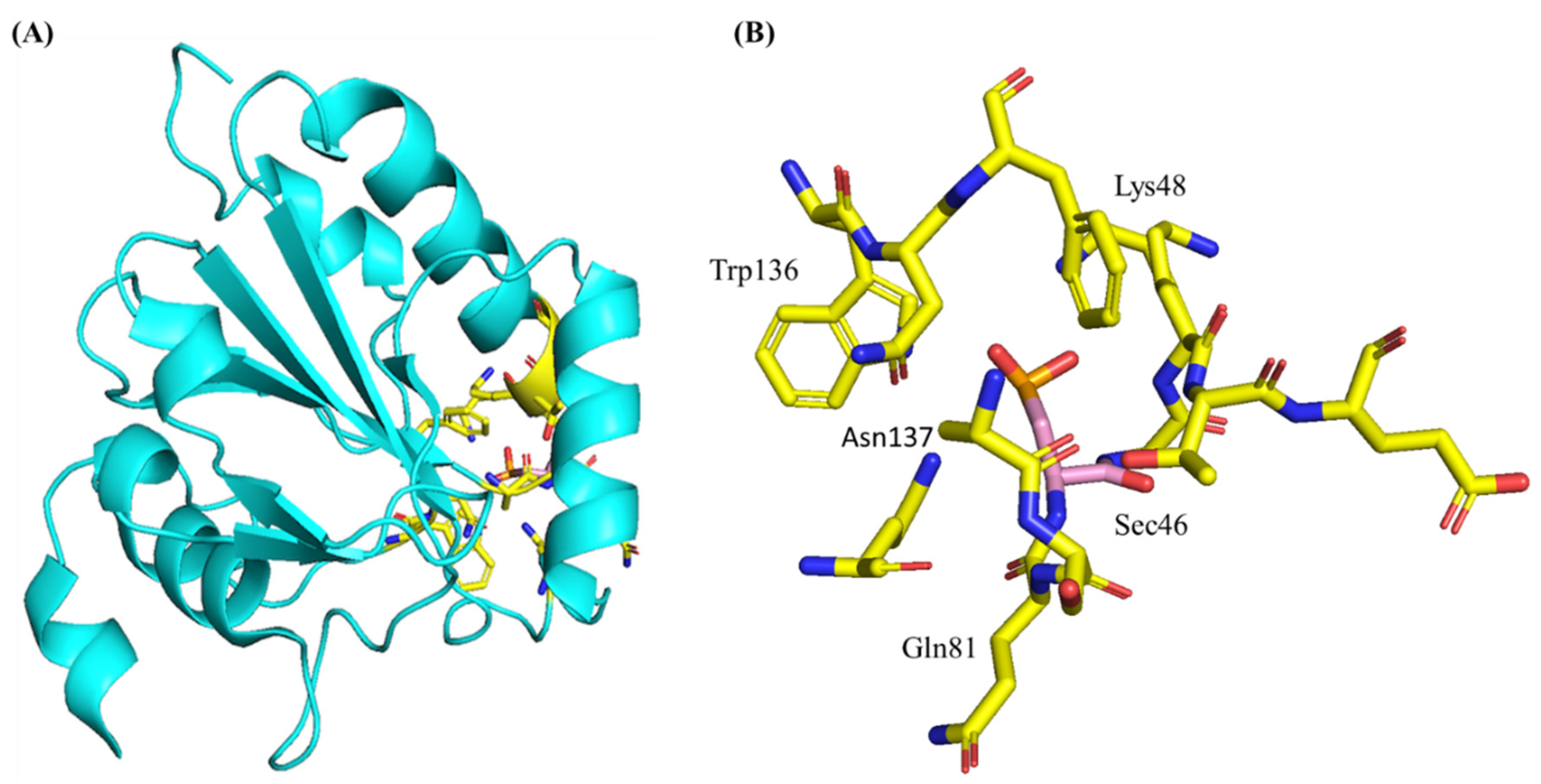 Biomedicines 10 00891 g003