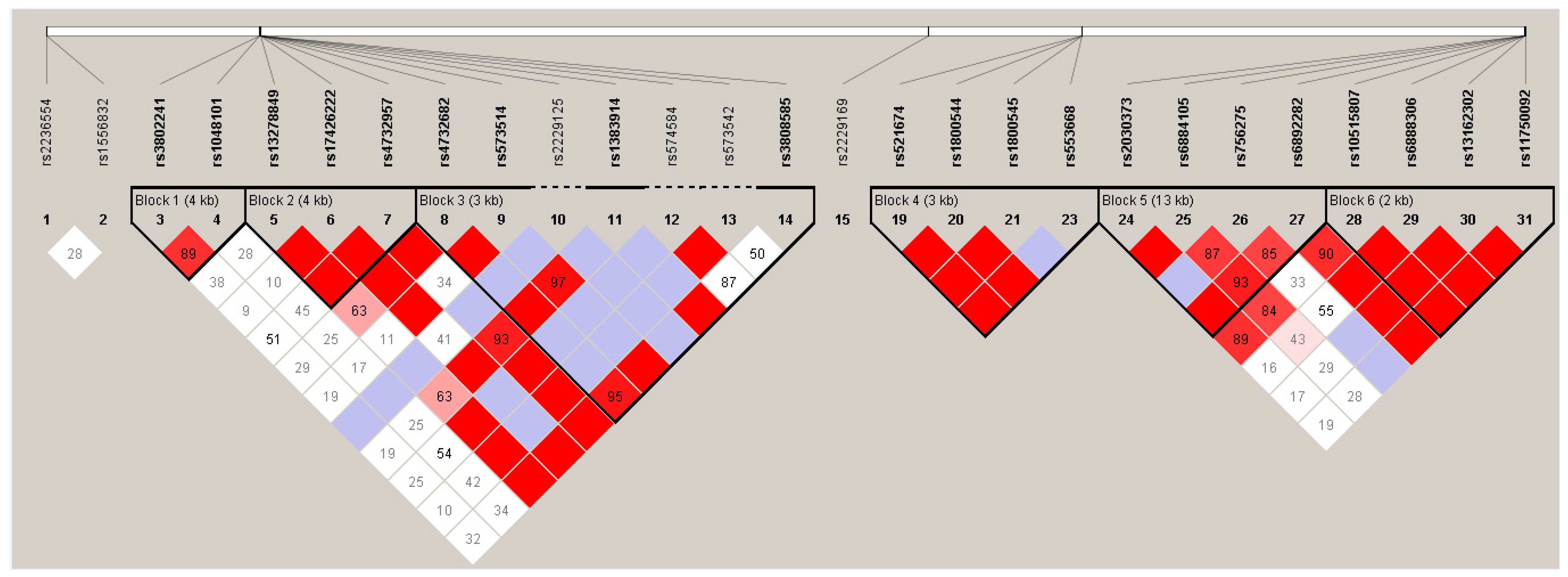 Biomedicines 10 00896 g001