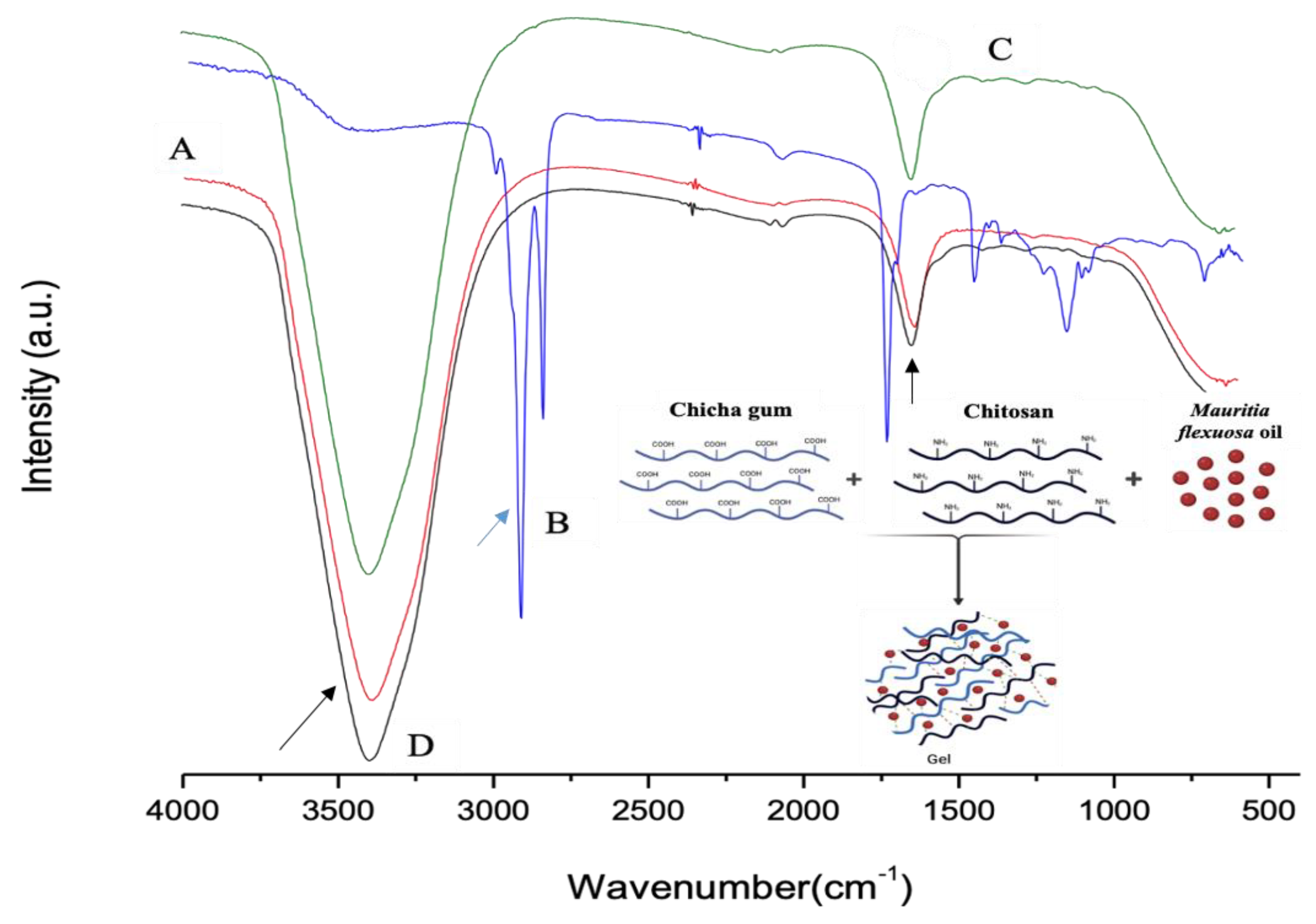 Biomedicines 10 00899 g001 Biomedicines 10 00899 g001