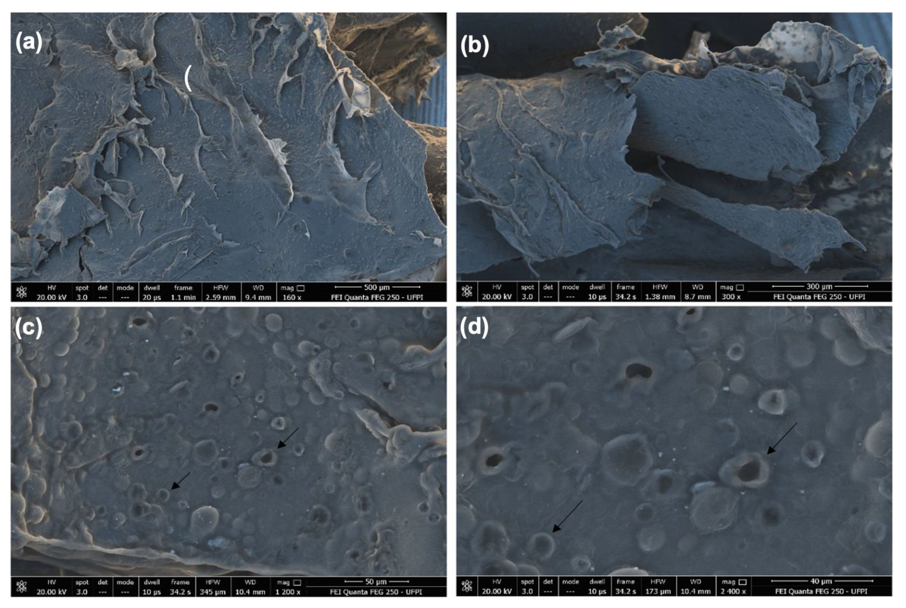 Biomedicines 10 00899 g002 Biomedicines 10 00899 g002