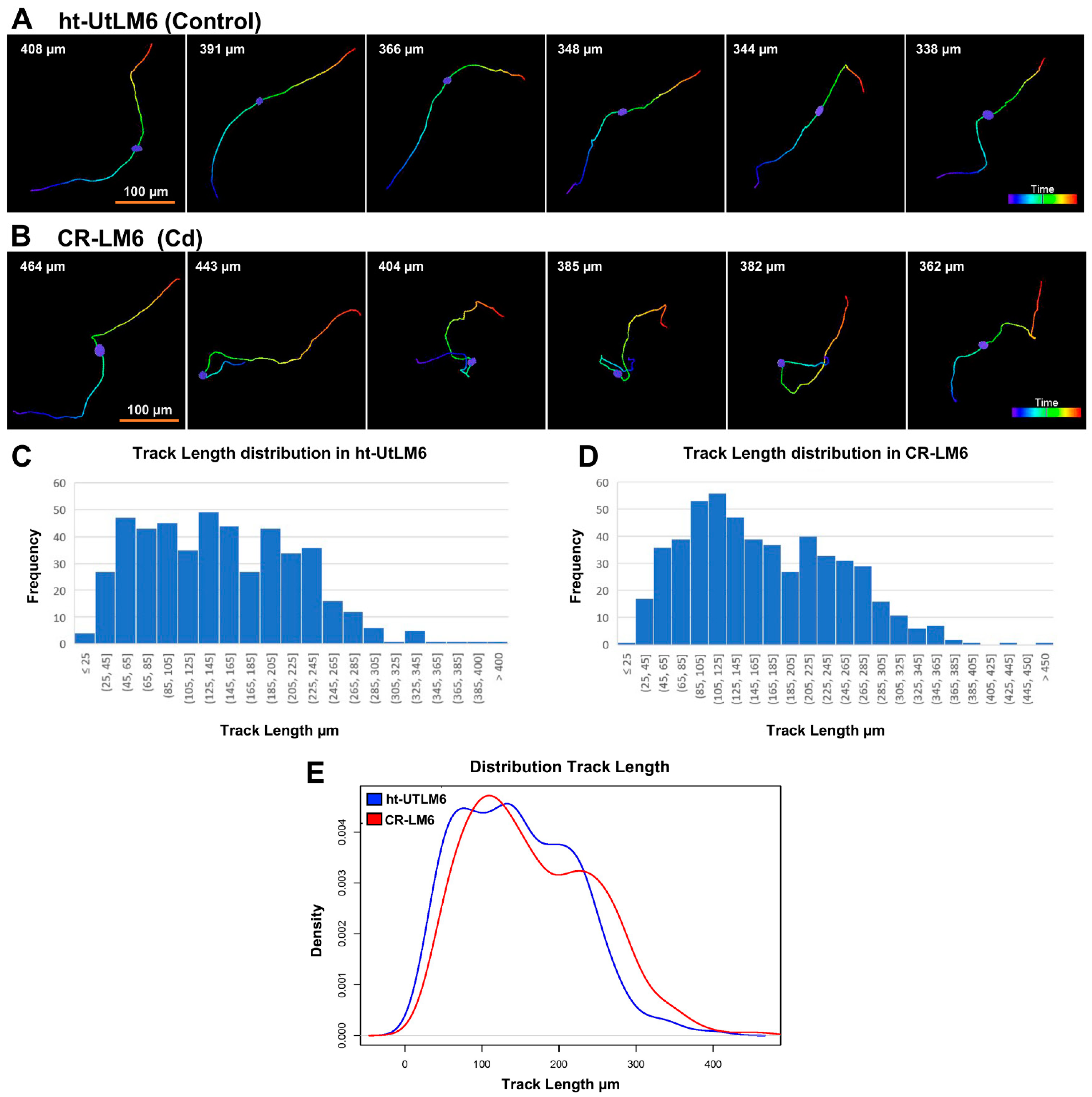 Biomedicines 10 00917 g003