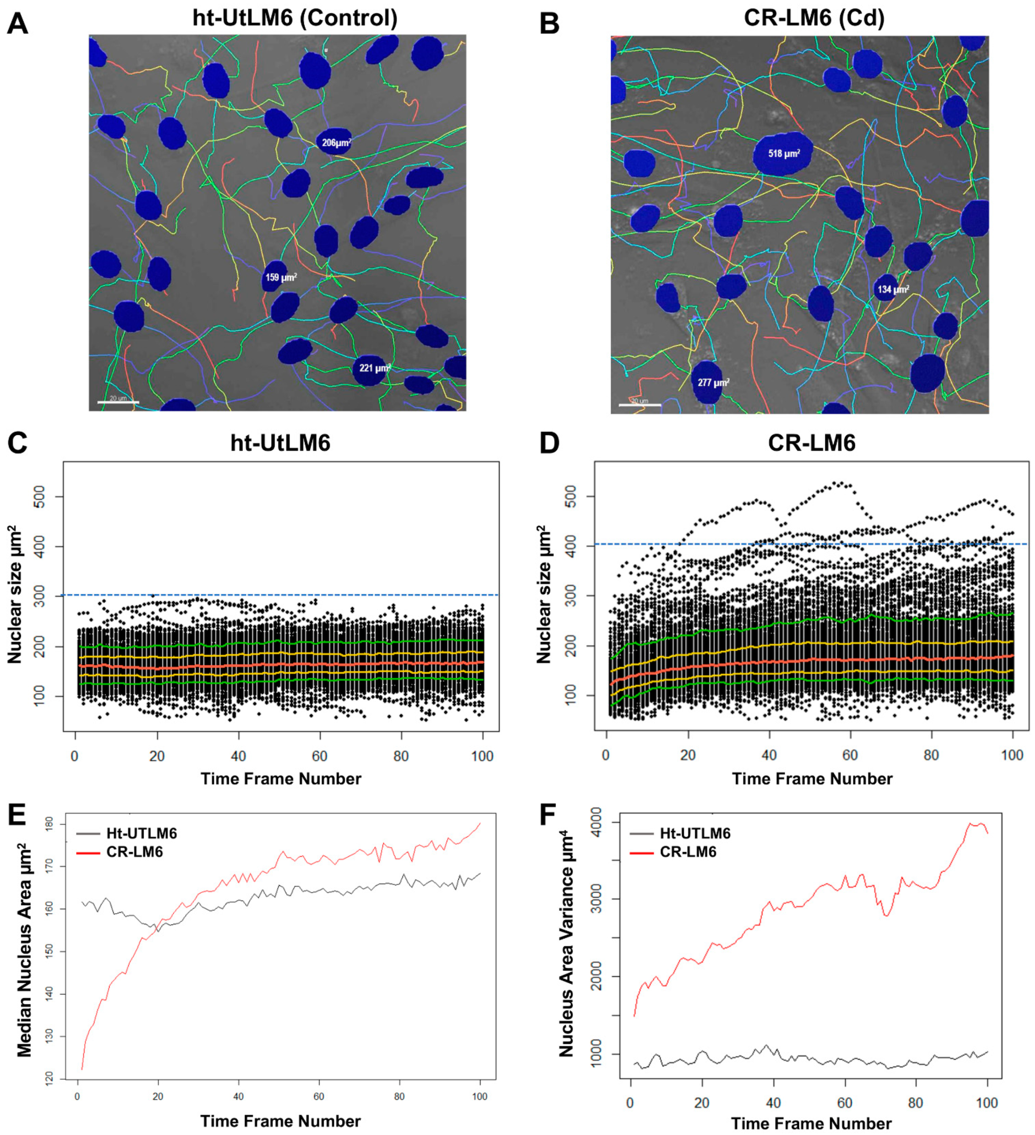 Biomedicines 10 00917 g005