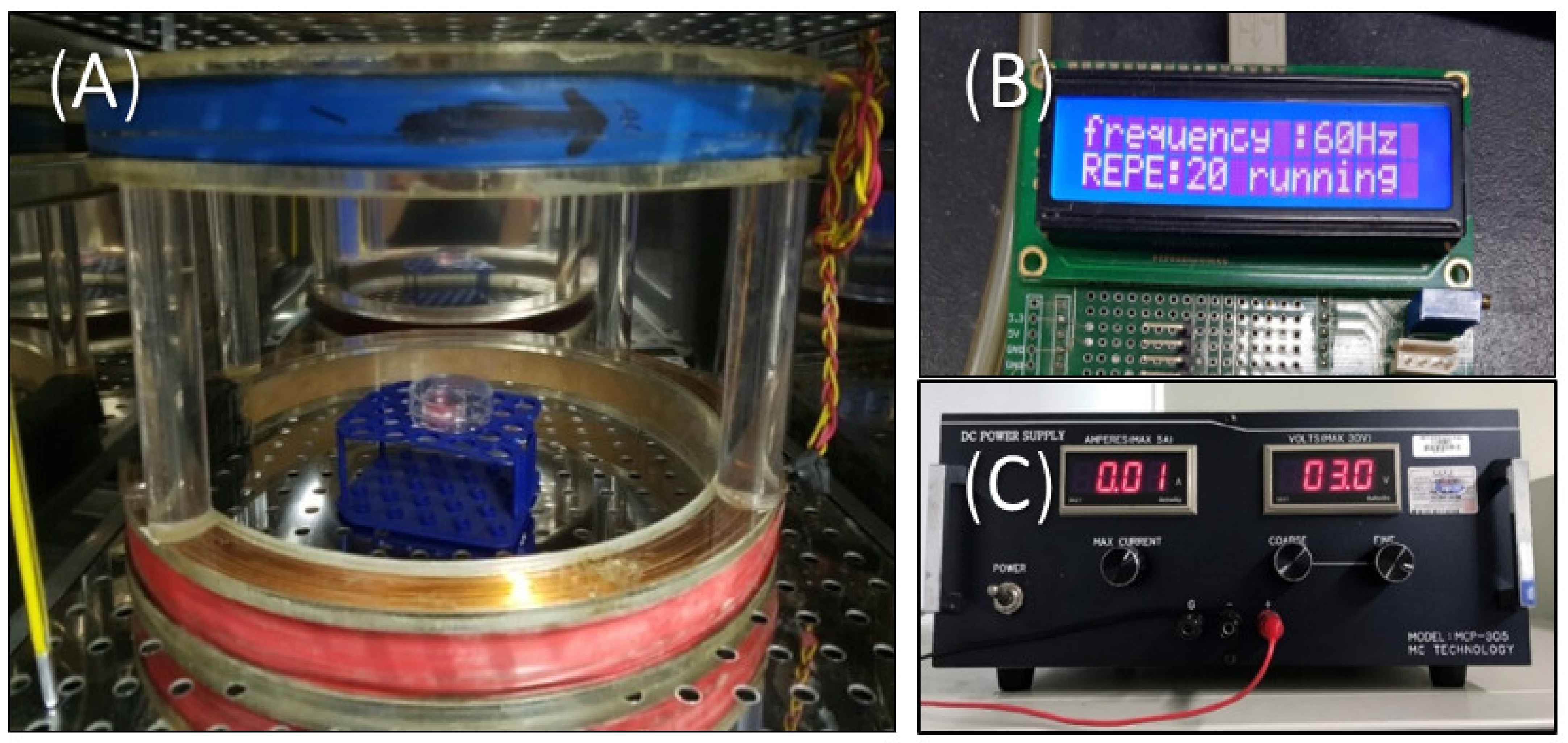 Biomedicines 10 00924 g001 550