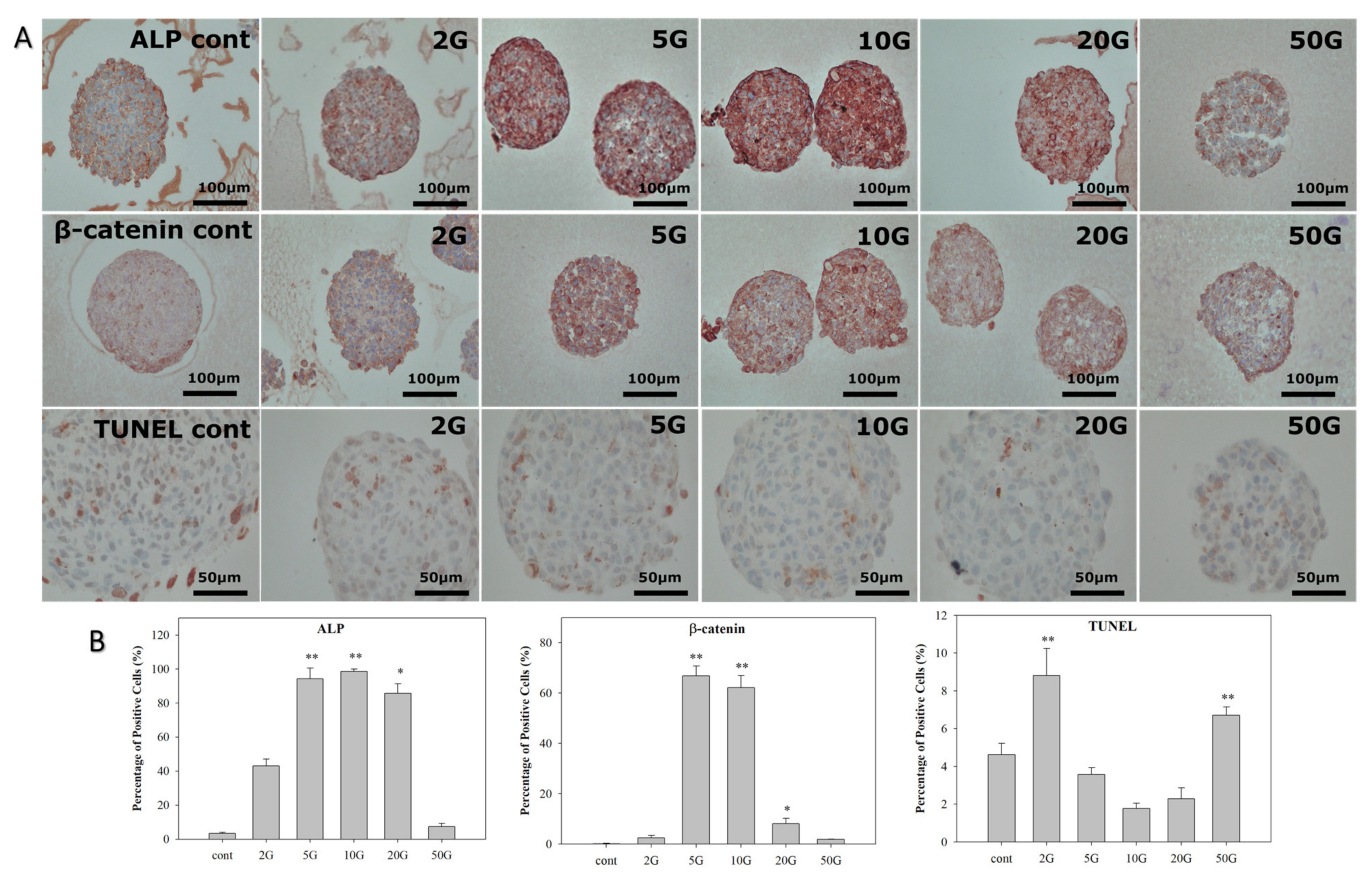 Biomedicines 10 00924 g003 550
