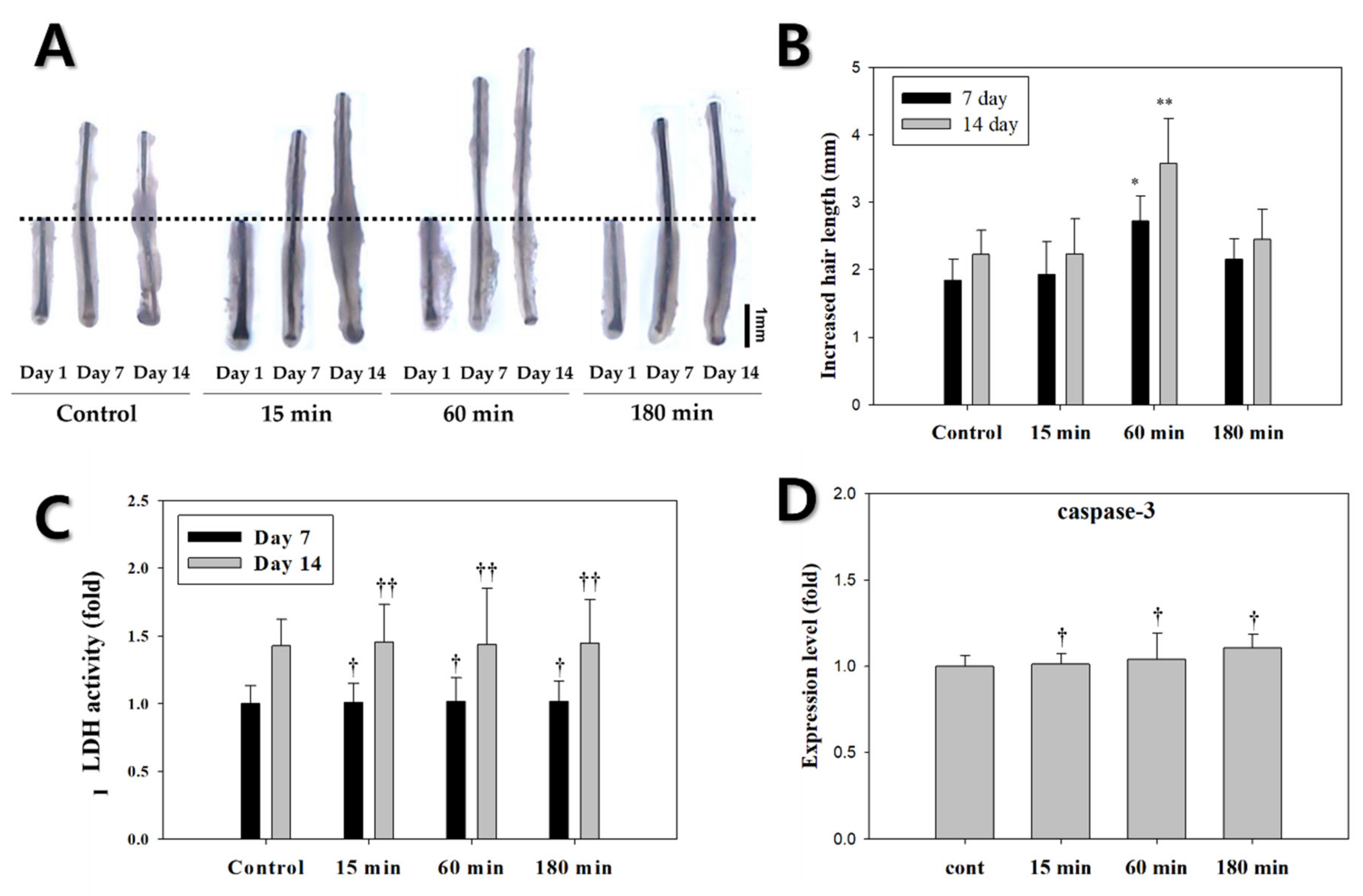 Biomedicines 10 00924 g005 550