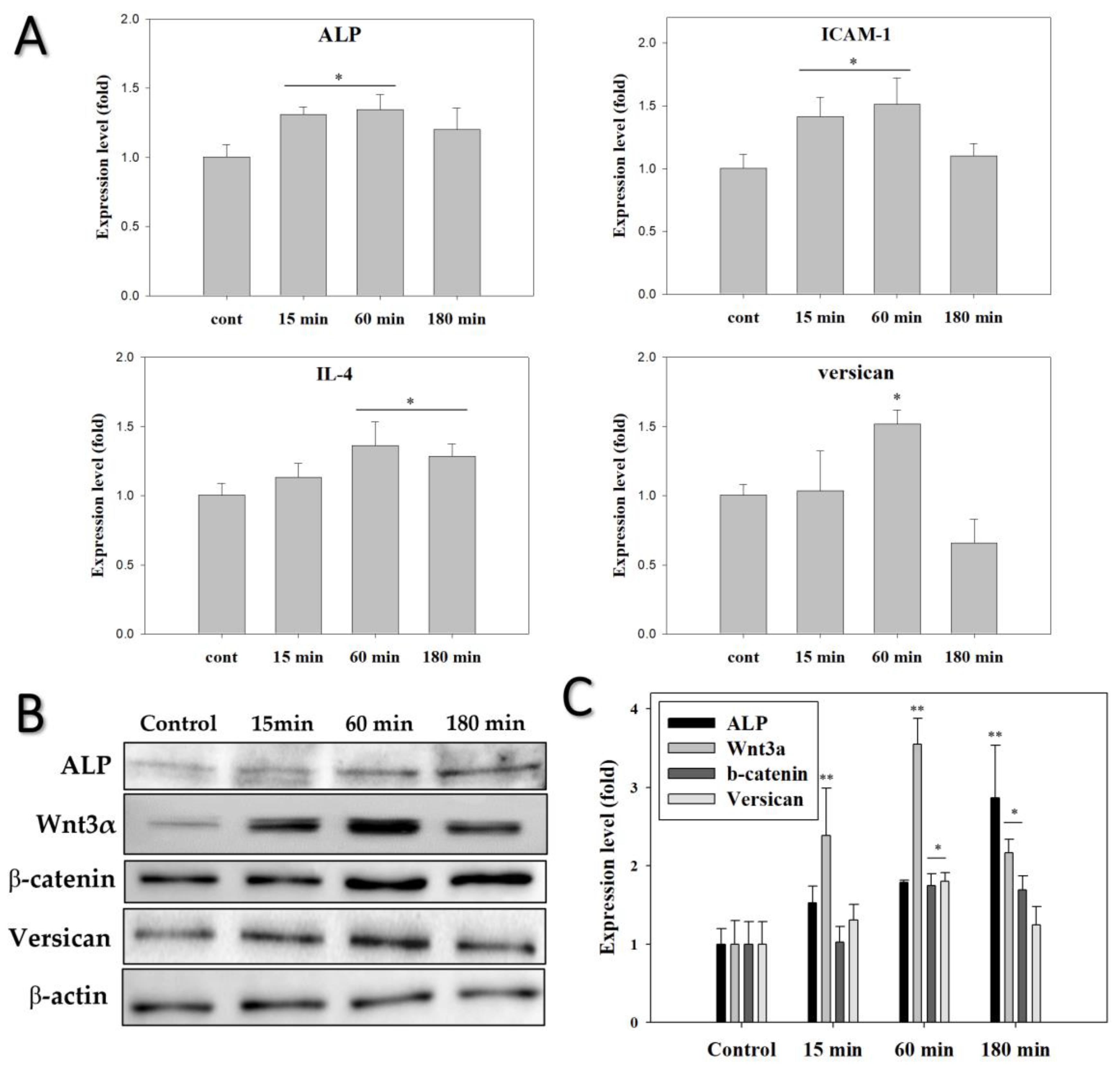 Biomedicines 10 00924 g006 550