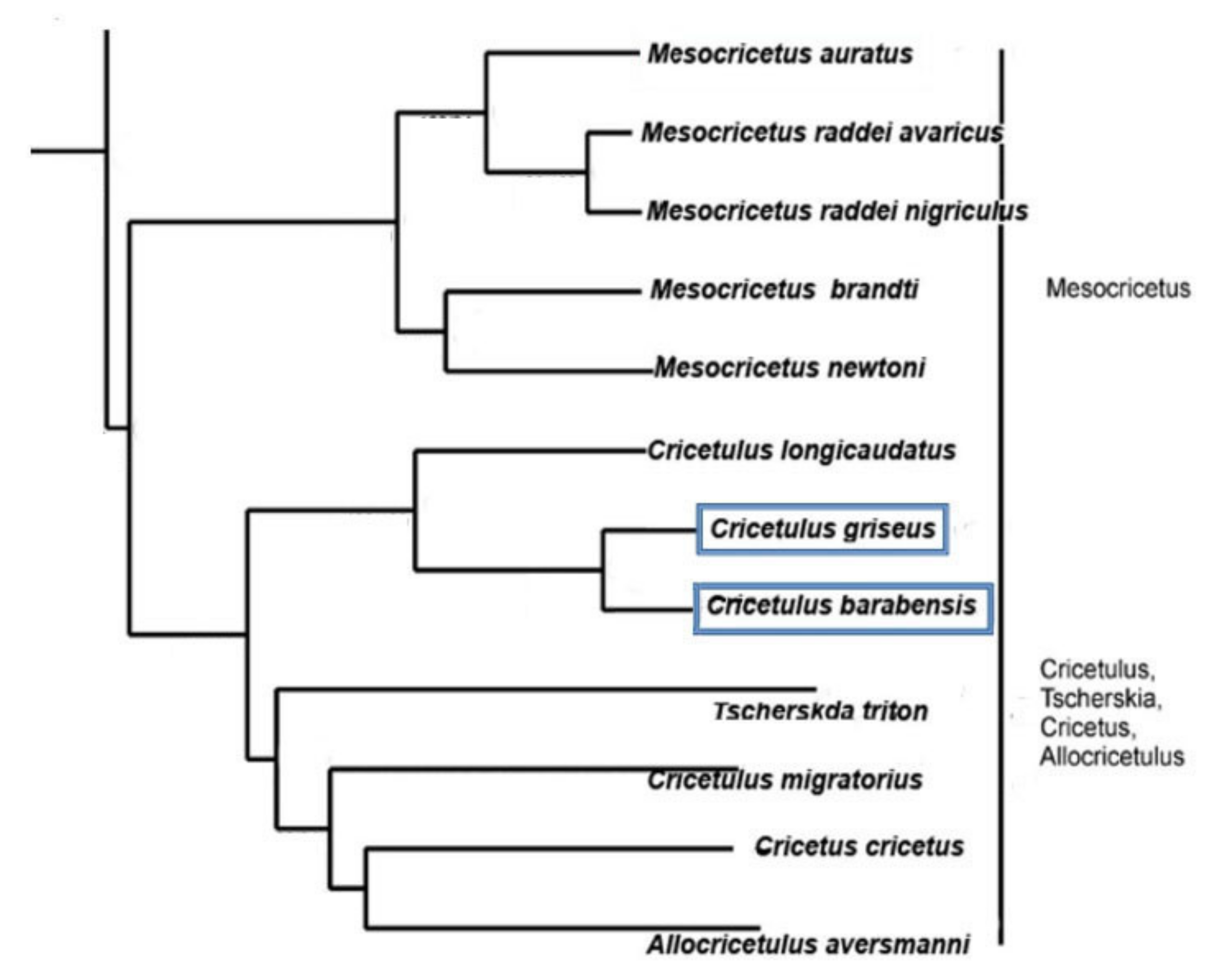 Biomedicines 10 00925 g001 Biomedicines 10 00925 g001
