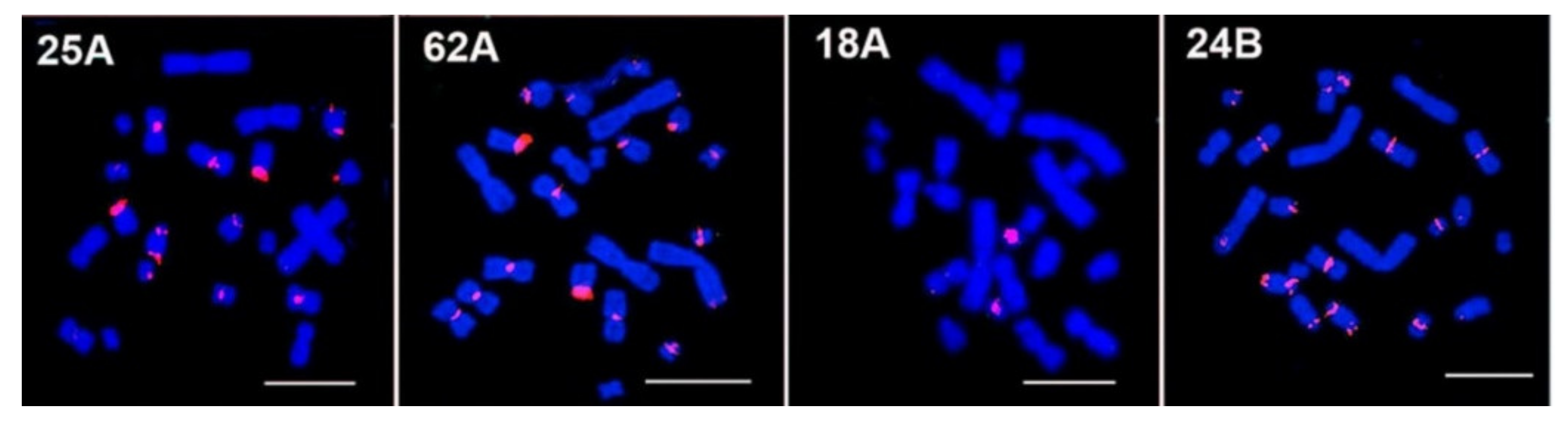 Biomedicines 10 00925 g002 Biomedicines 10 00925 g002