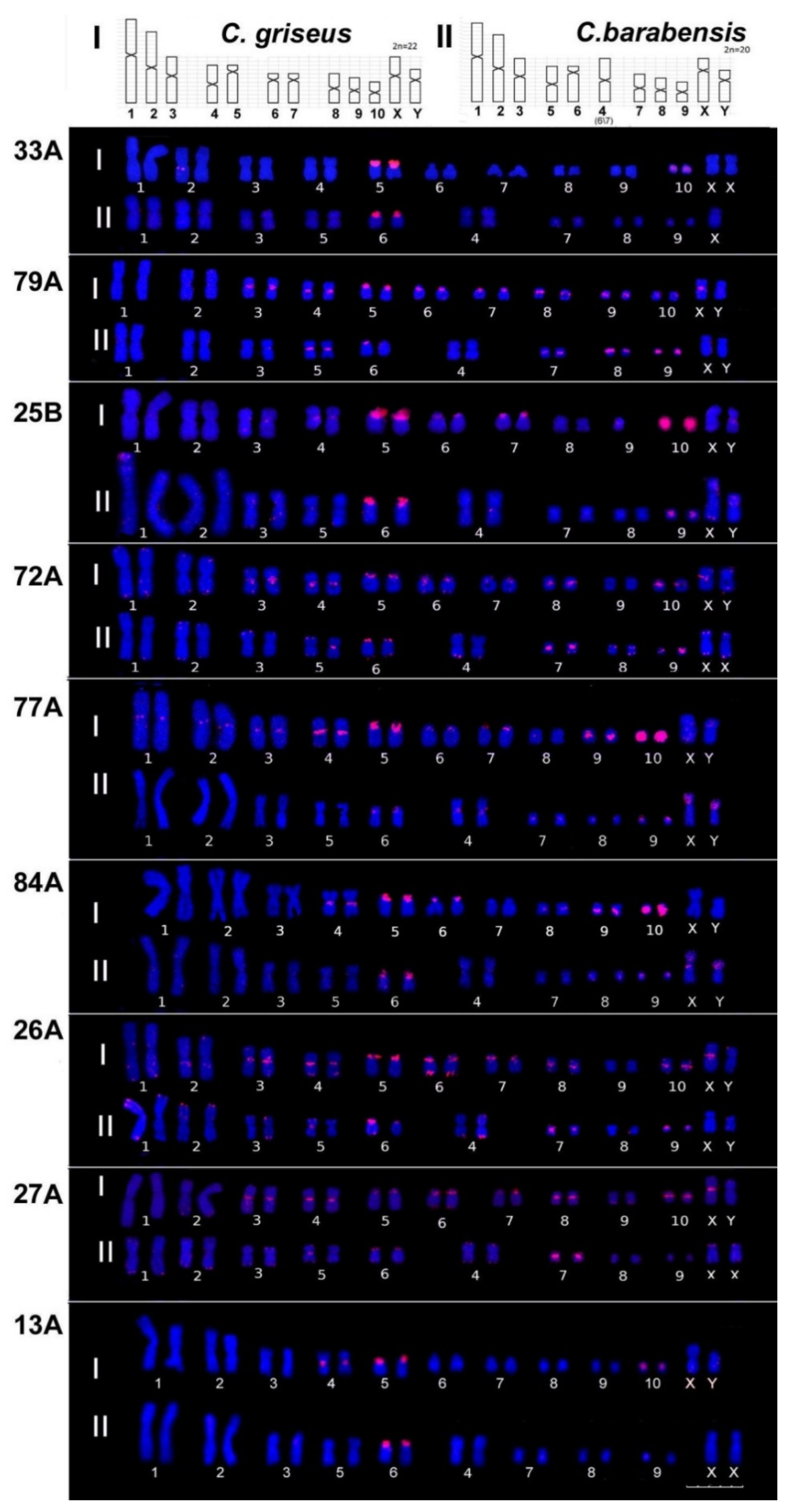 Biomedicines 10 00925 g003 Biomedicines 10 00925 g003