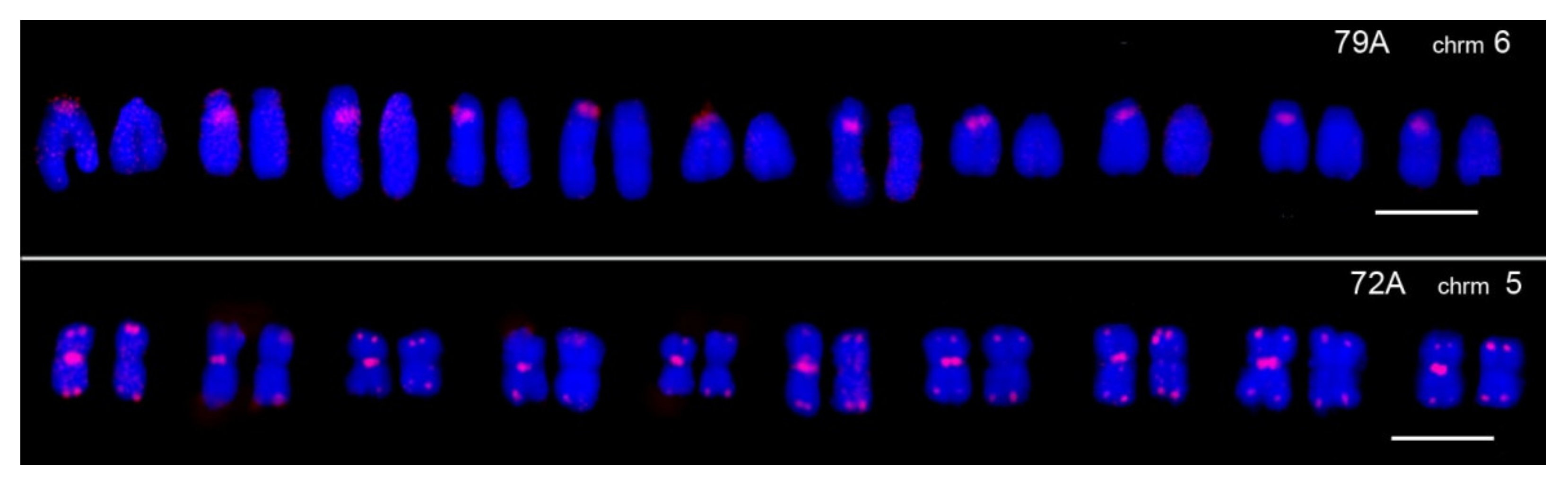 Biomedicines 10 00925 g004 Biomedicines 10 00925 g004