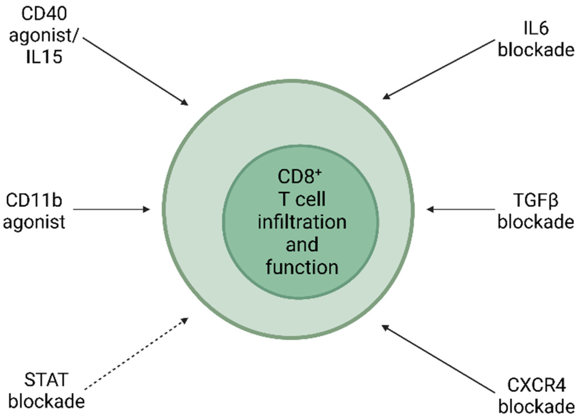 The Trinity: Interplay among Cancer Cells, Fibroblasts, and