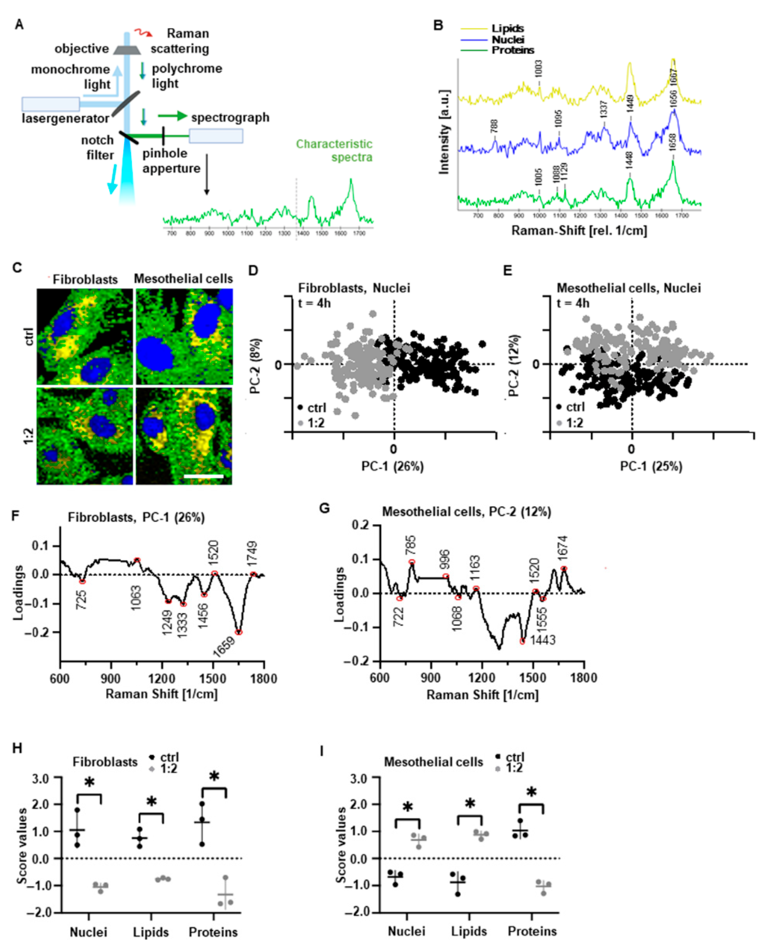 Biomedicines 10 00927 g002