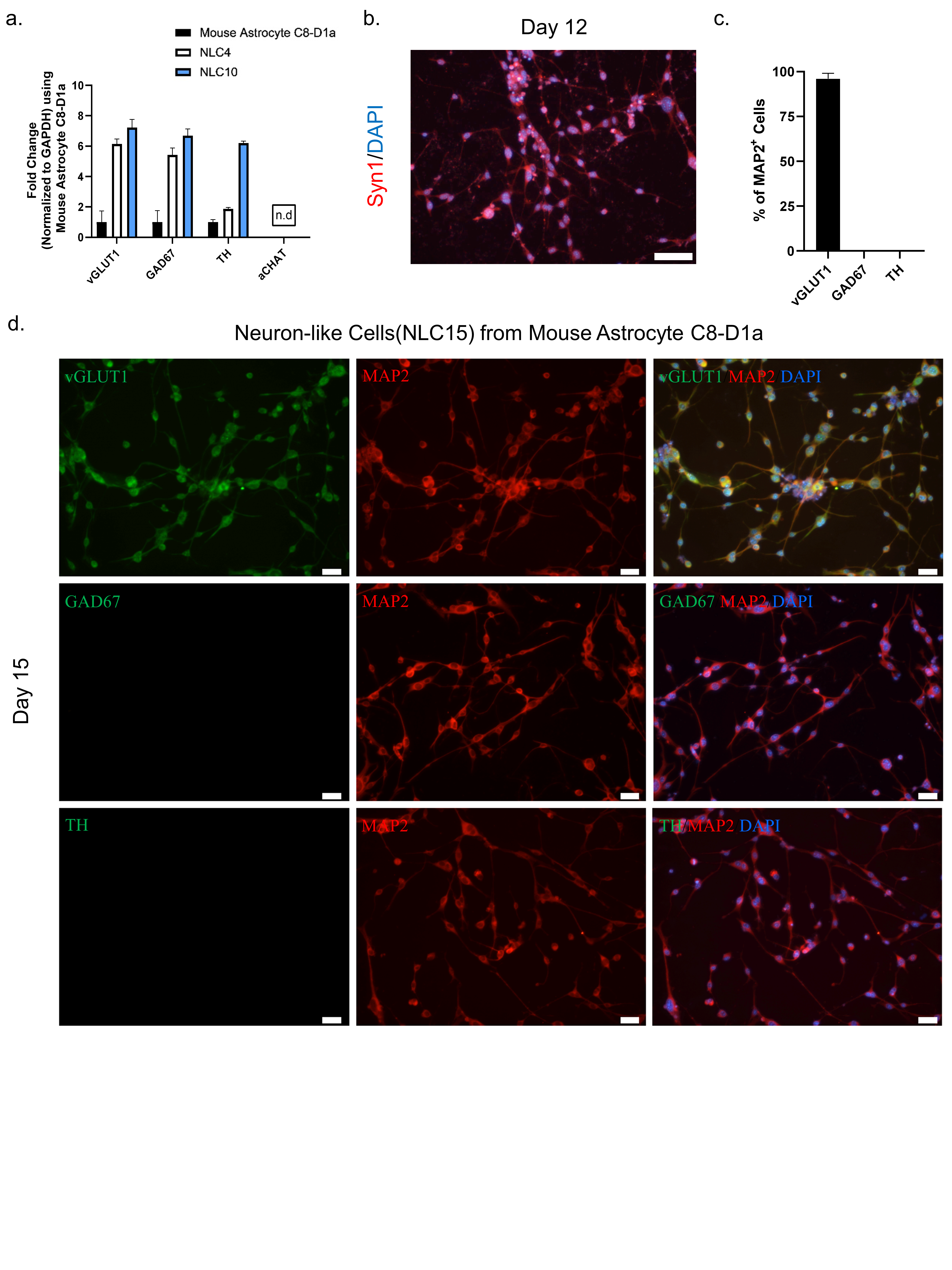 Biomedicines 10 00928 g003 550