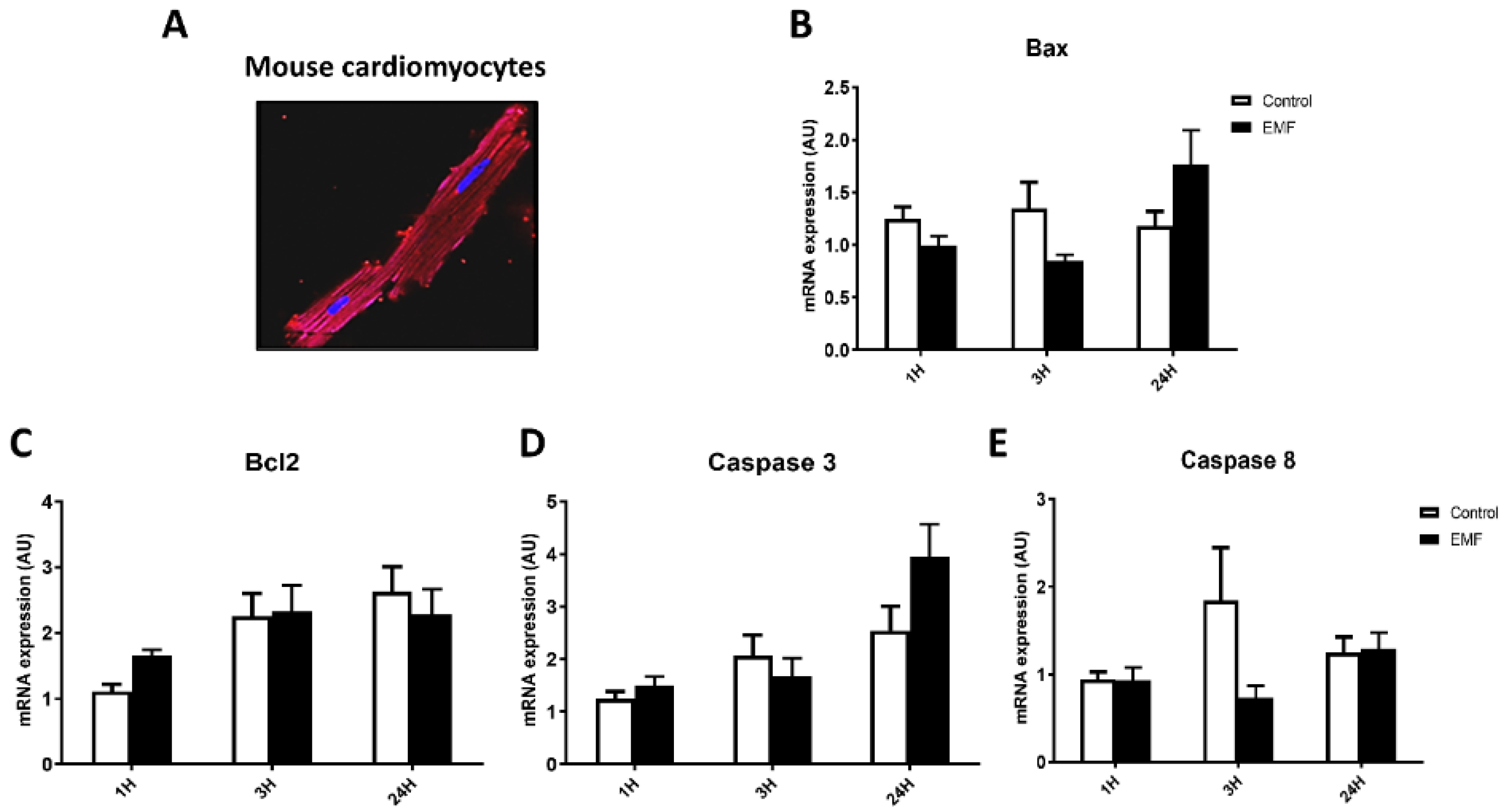 Biomedicines 10 00929 g002 550