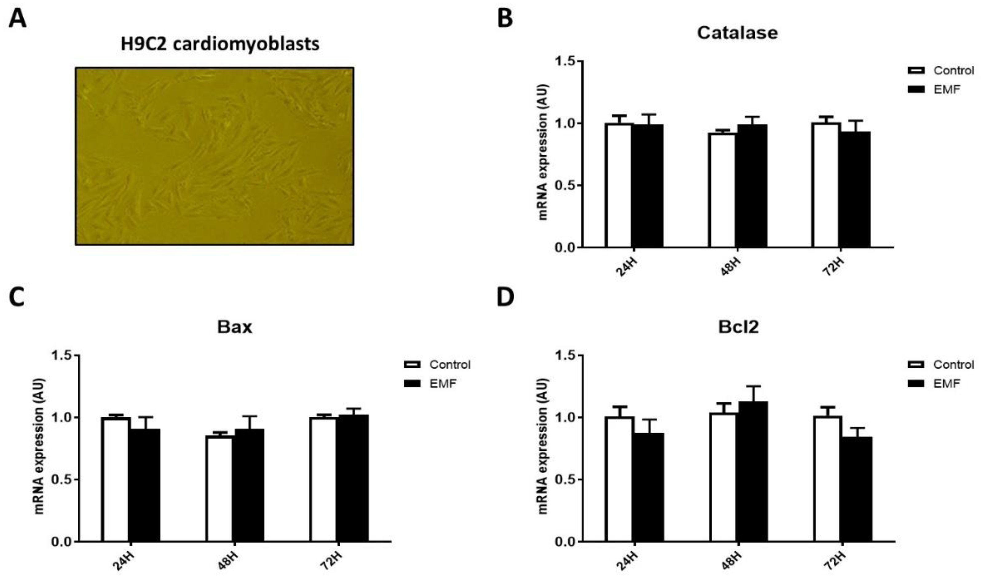 Biomedicines 10 00929 g004 550
