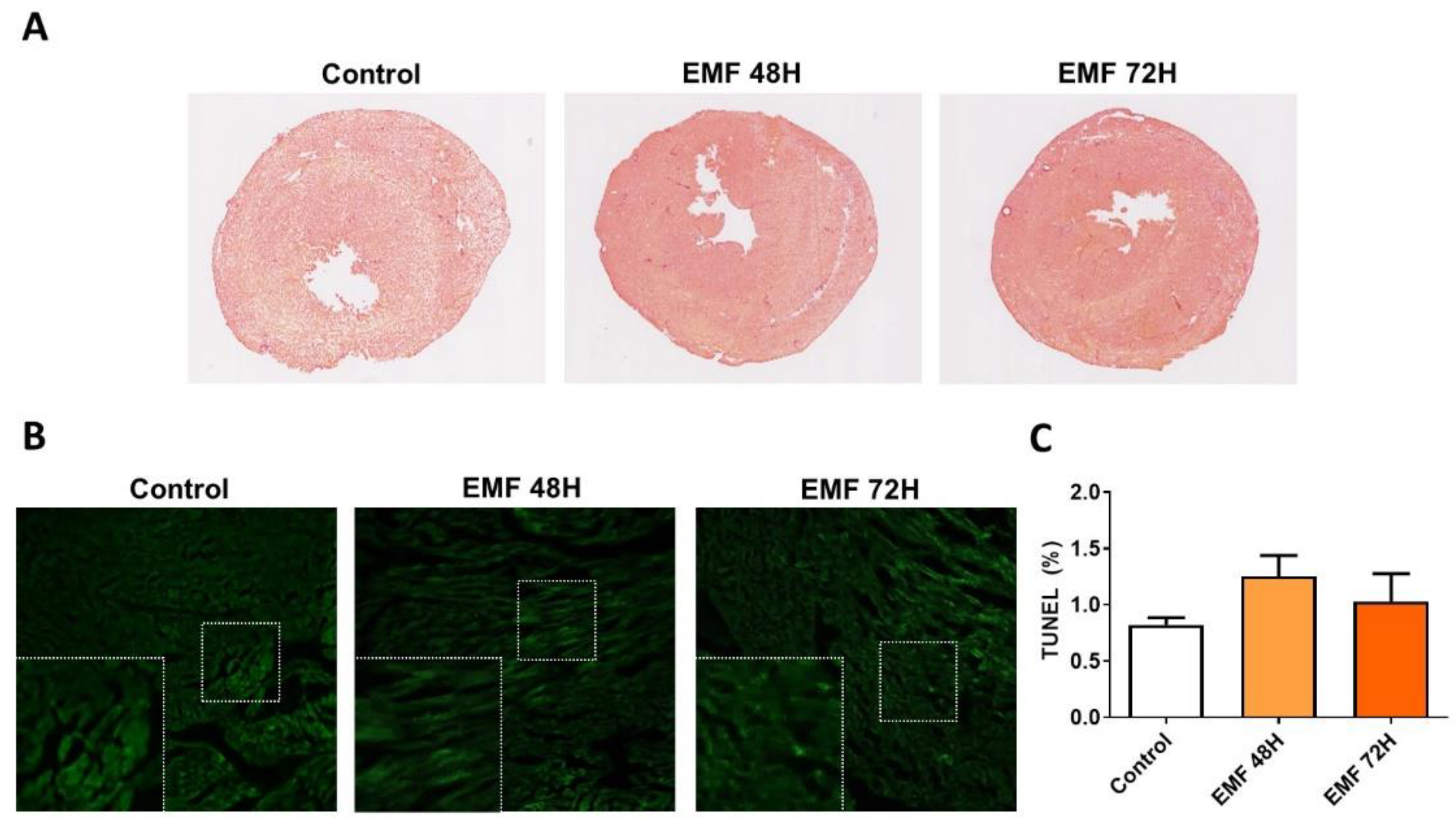 Biomedicines 10 00929 g005 550