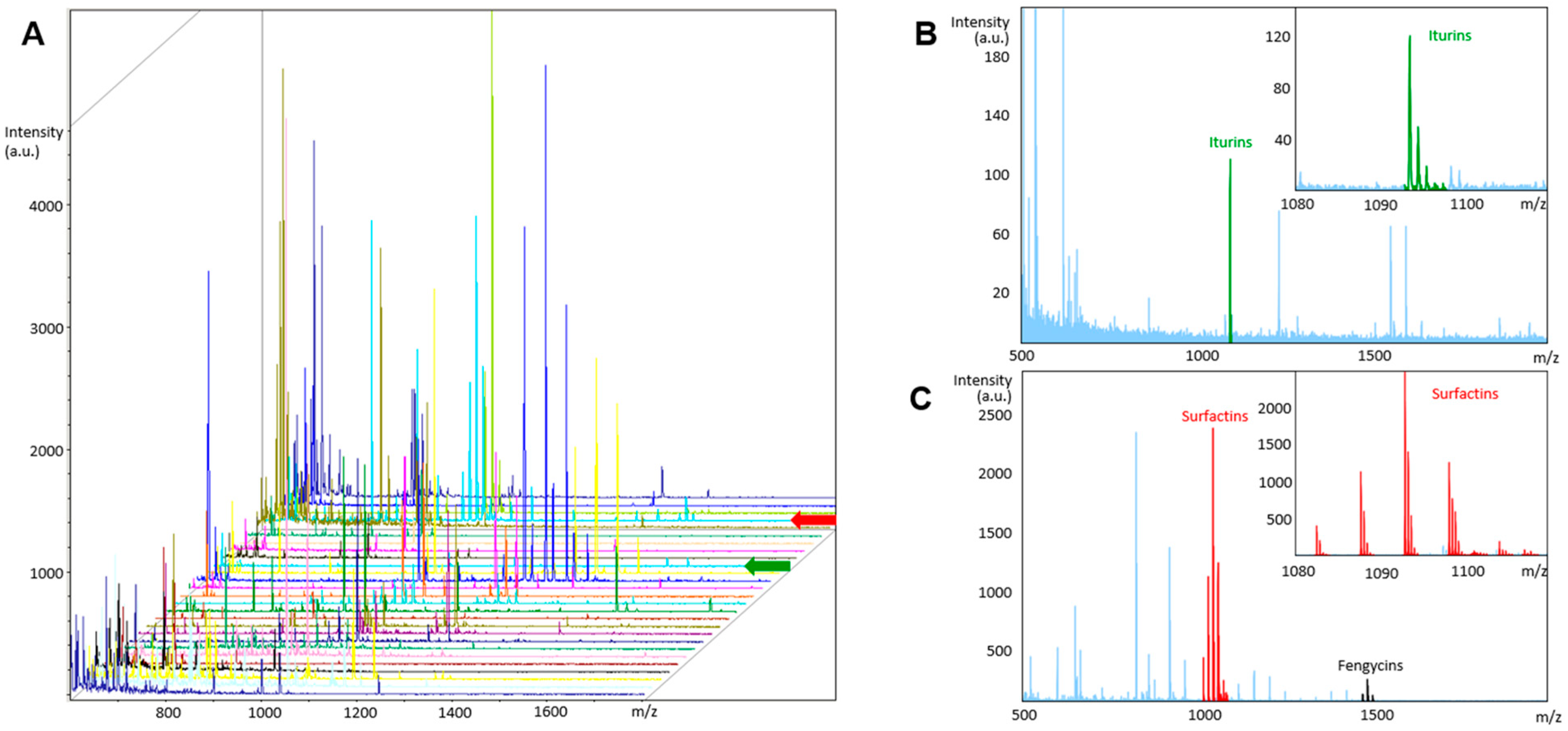 Biomedicines 10 00930 g003 550