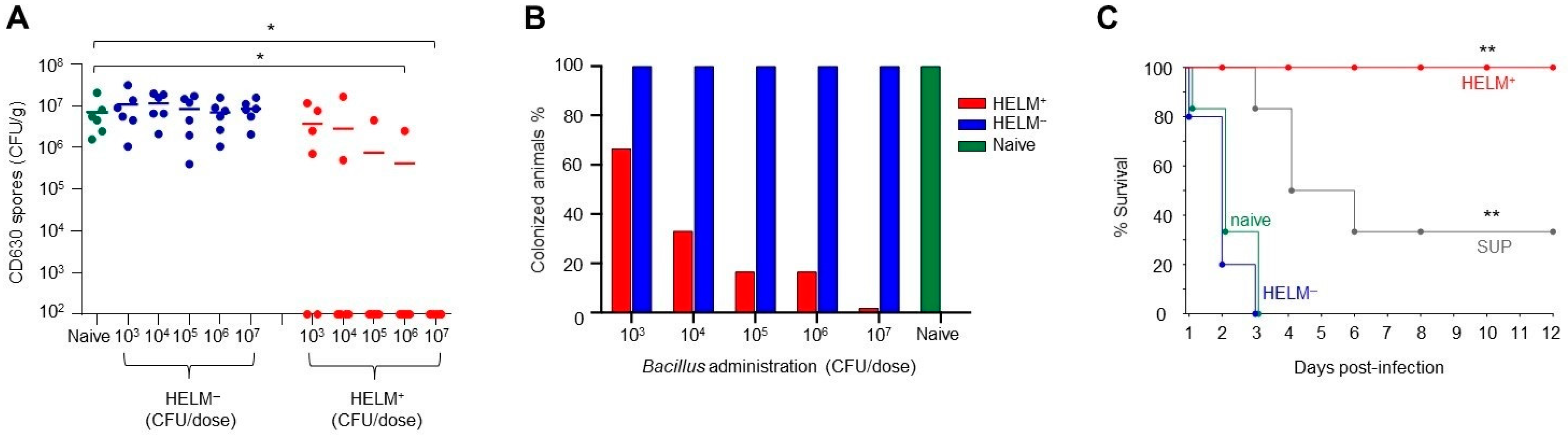 Biomedicines 10 00930 g006 550