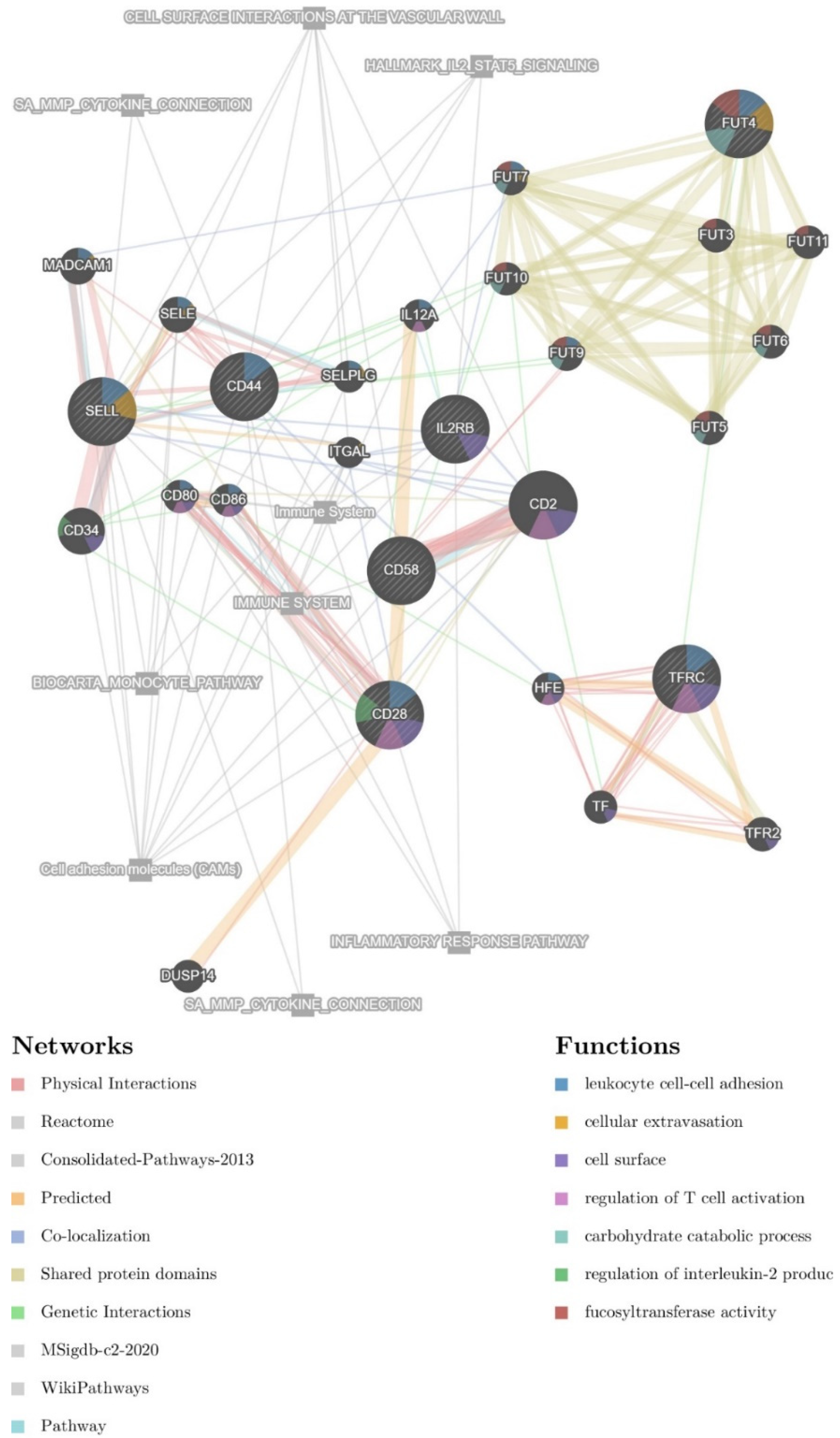 Biomedicines 10 00935 g002