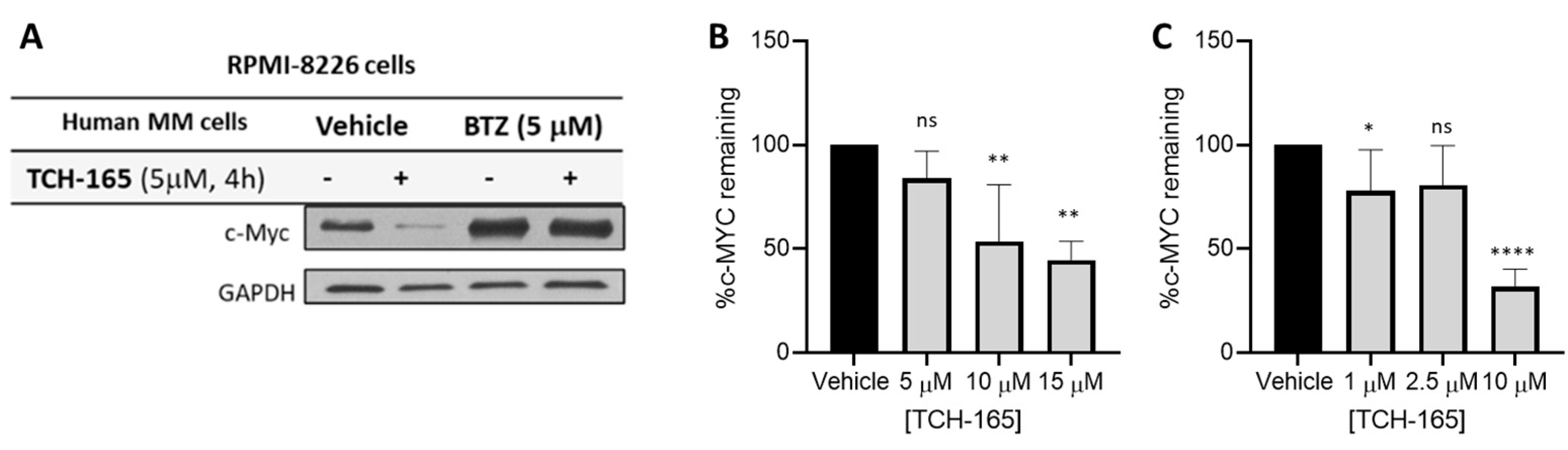 Biomedicines 10 00938 g002 Biomedicines 10 00938 g002