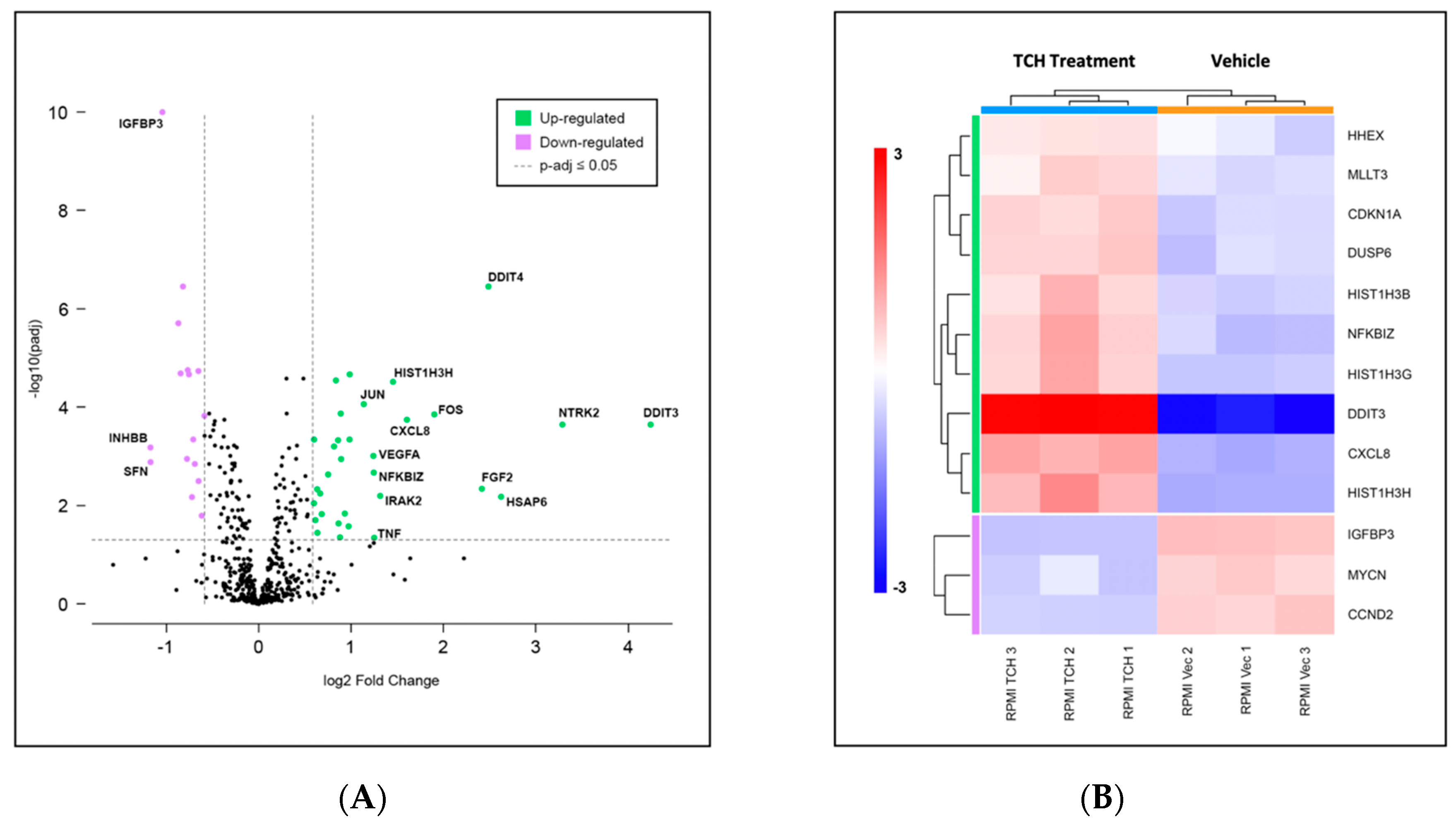 Biomedicines 10 00938 g004 Biomedicines 10 00938 g004