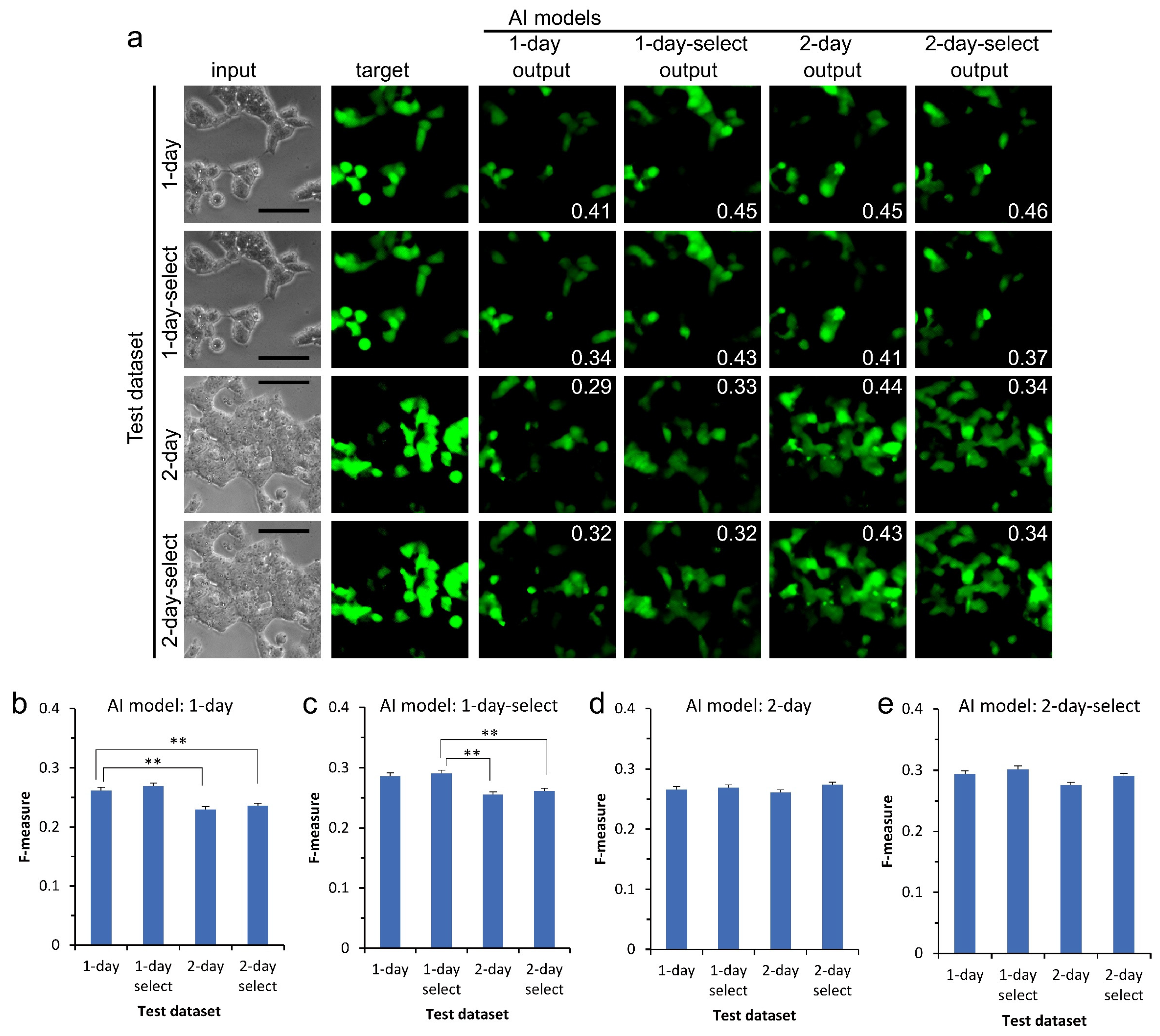 Biomedicines 10 00941 g003