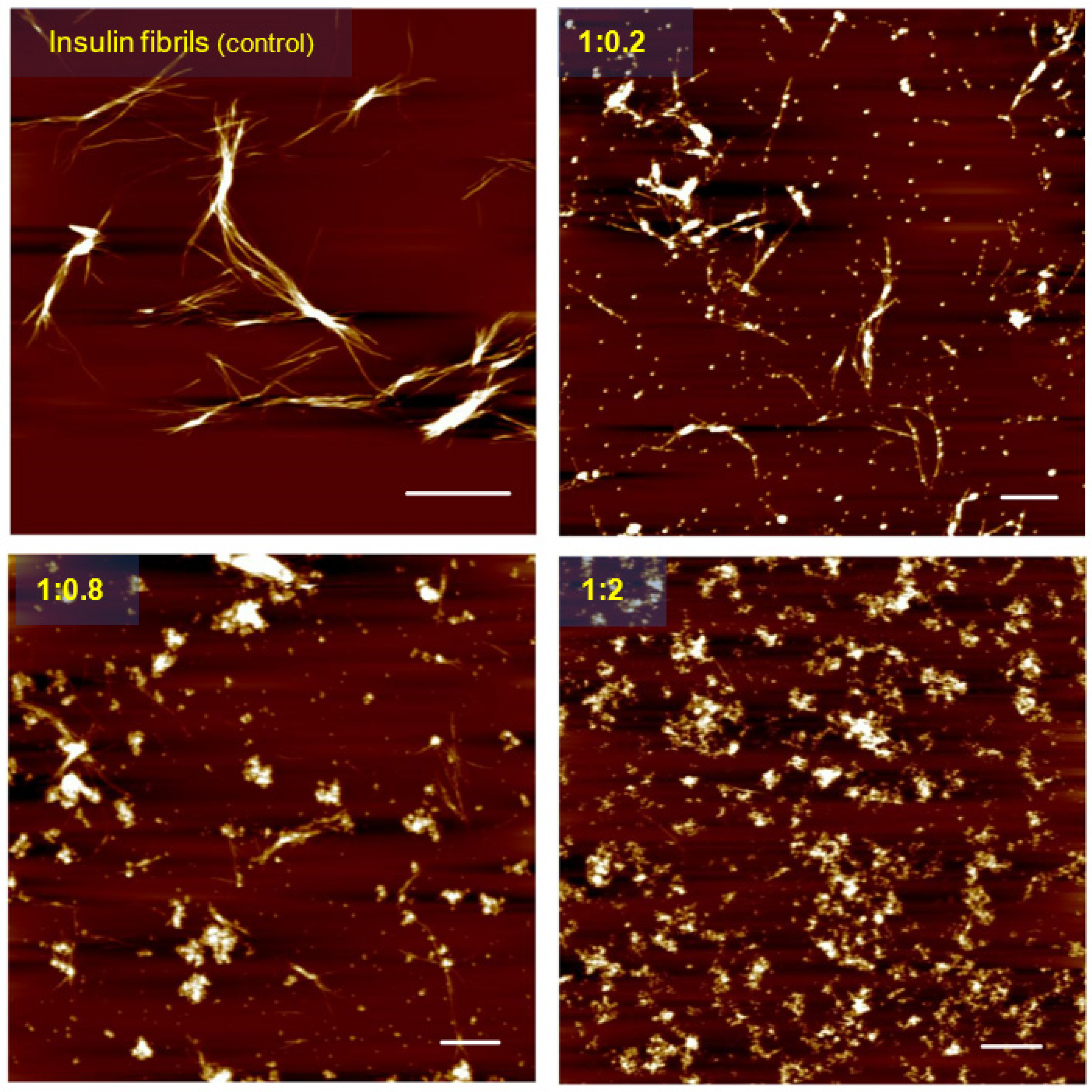 Biomedicines 10 00942 g004 Biomedicines 10 00942 g004