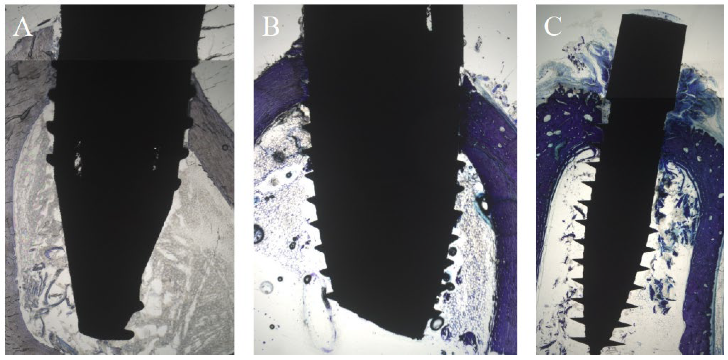 Biomedicines 10 00943 g002