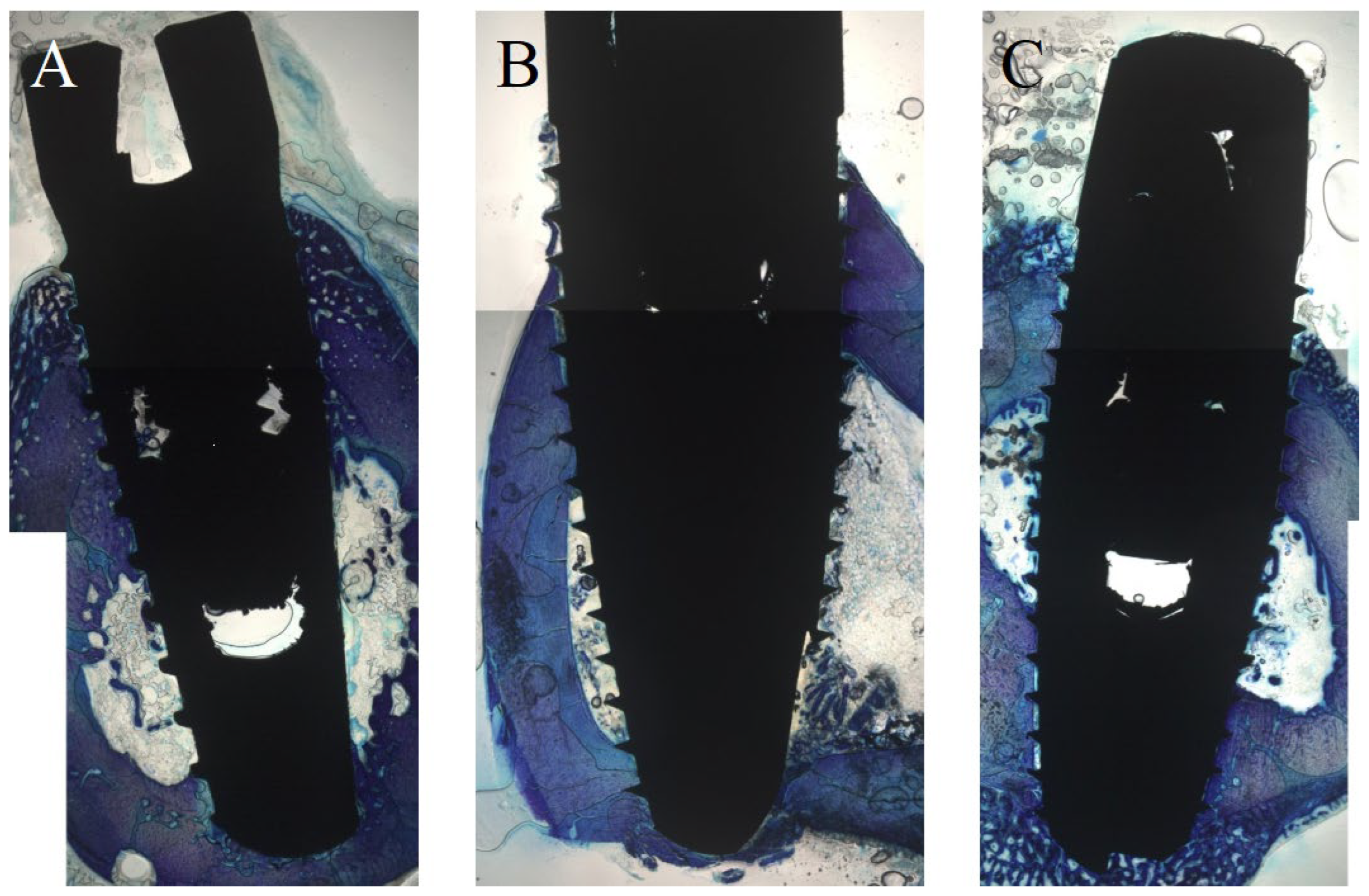 Biomedicines 10 00943 g006