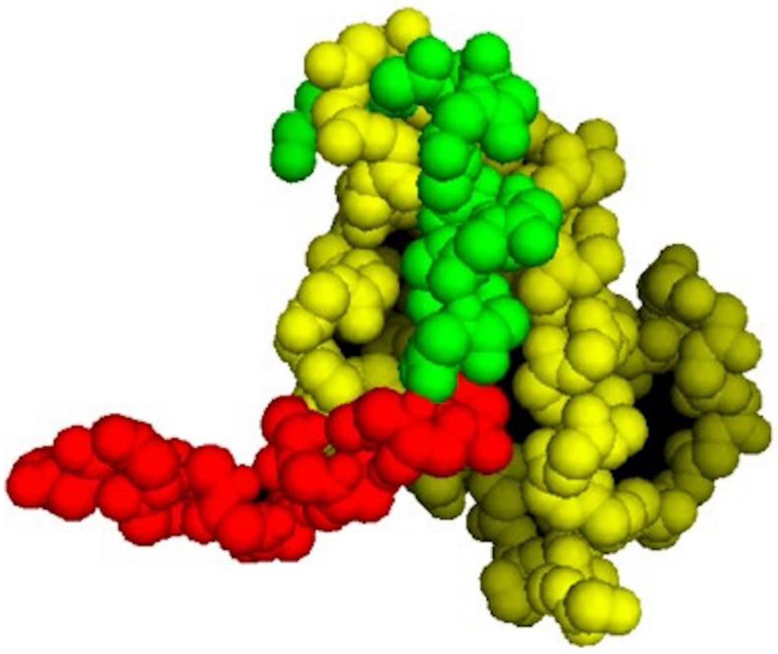 Biomedicines 10 00945 g001