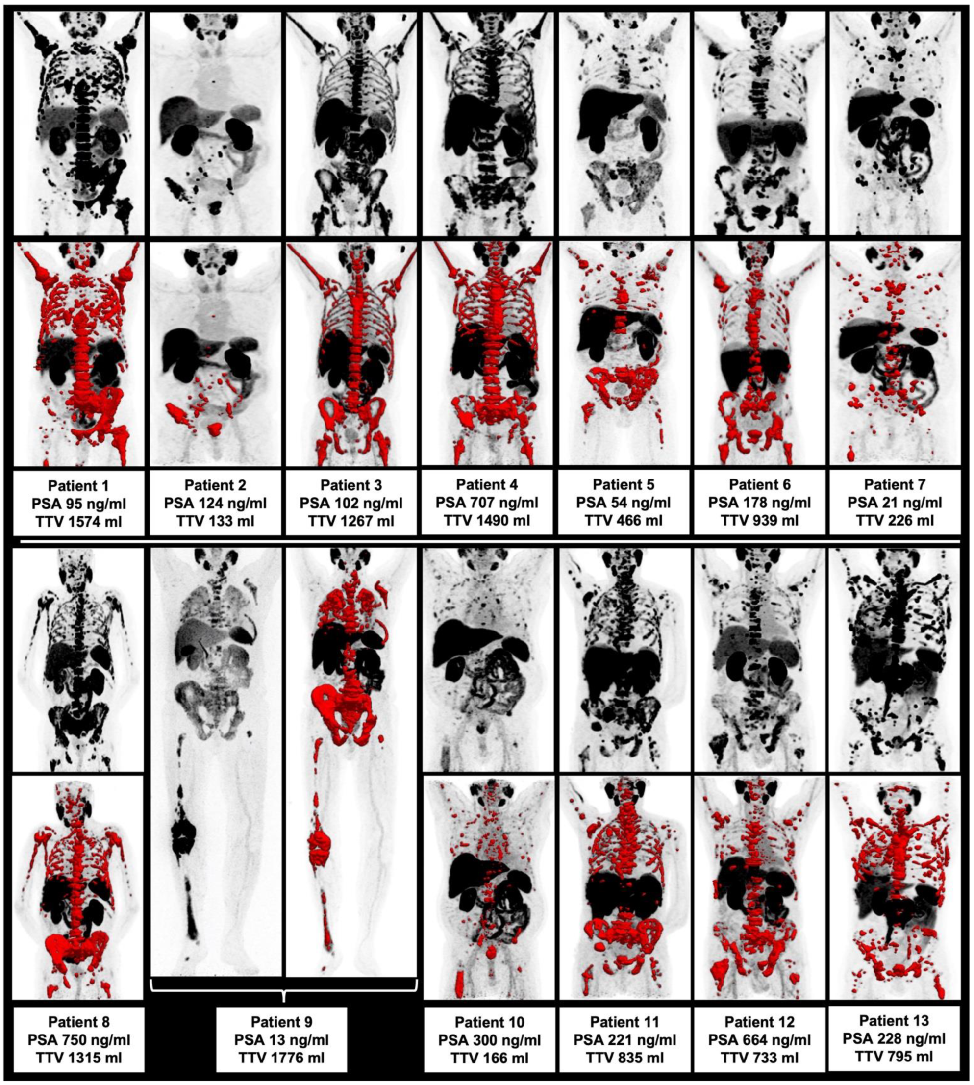 Biomedicines 10 00946 g001