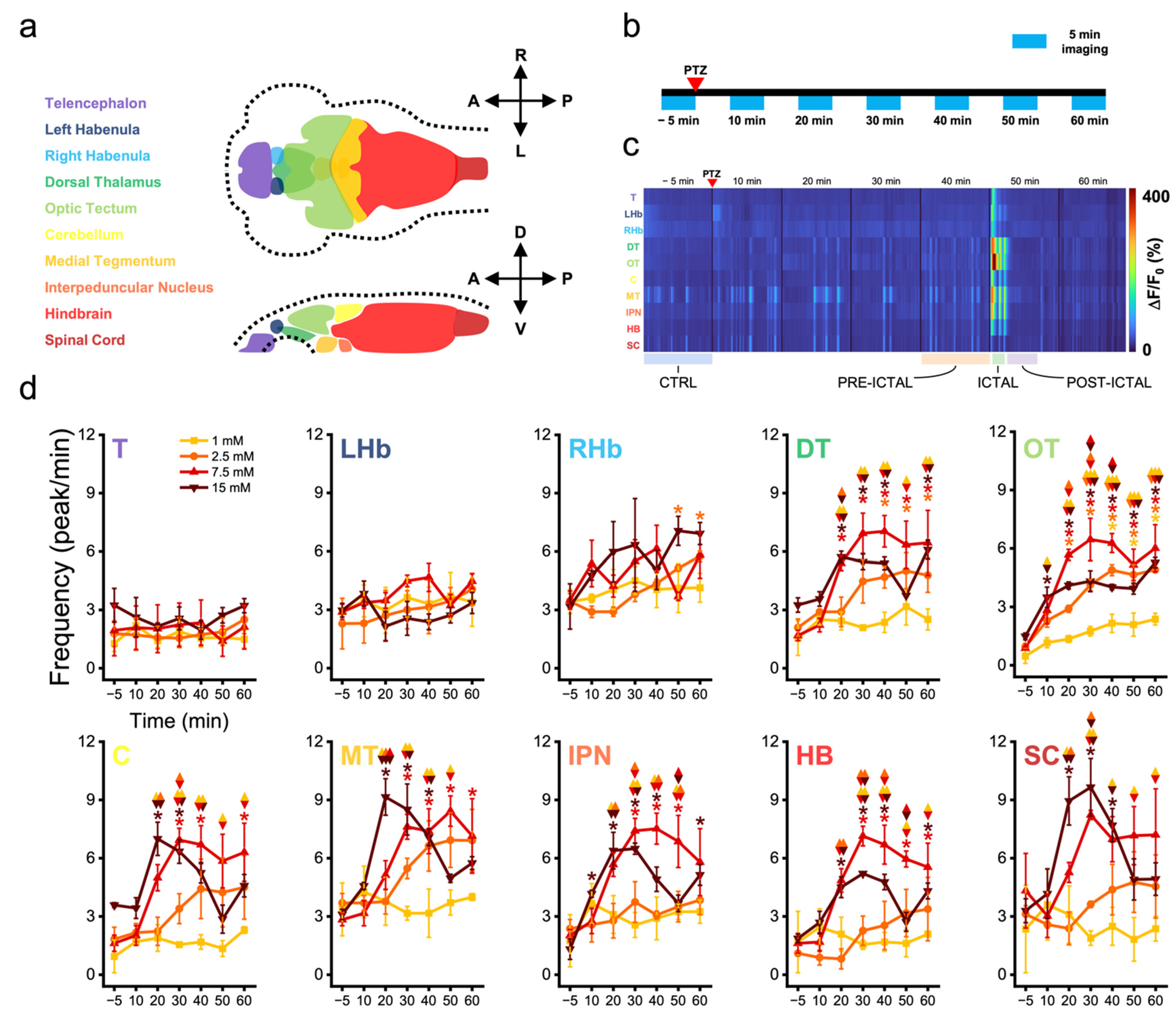 Biomedicines 10 00951 g001
