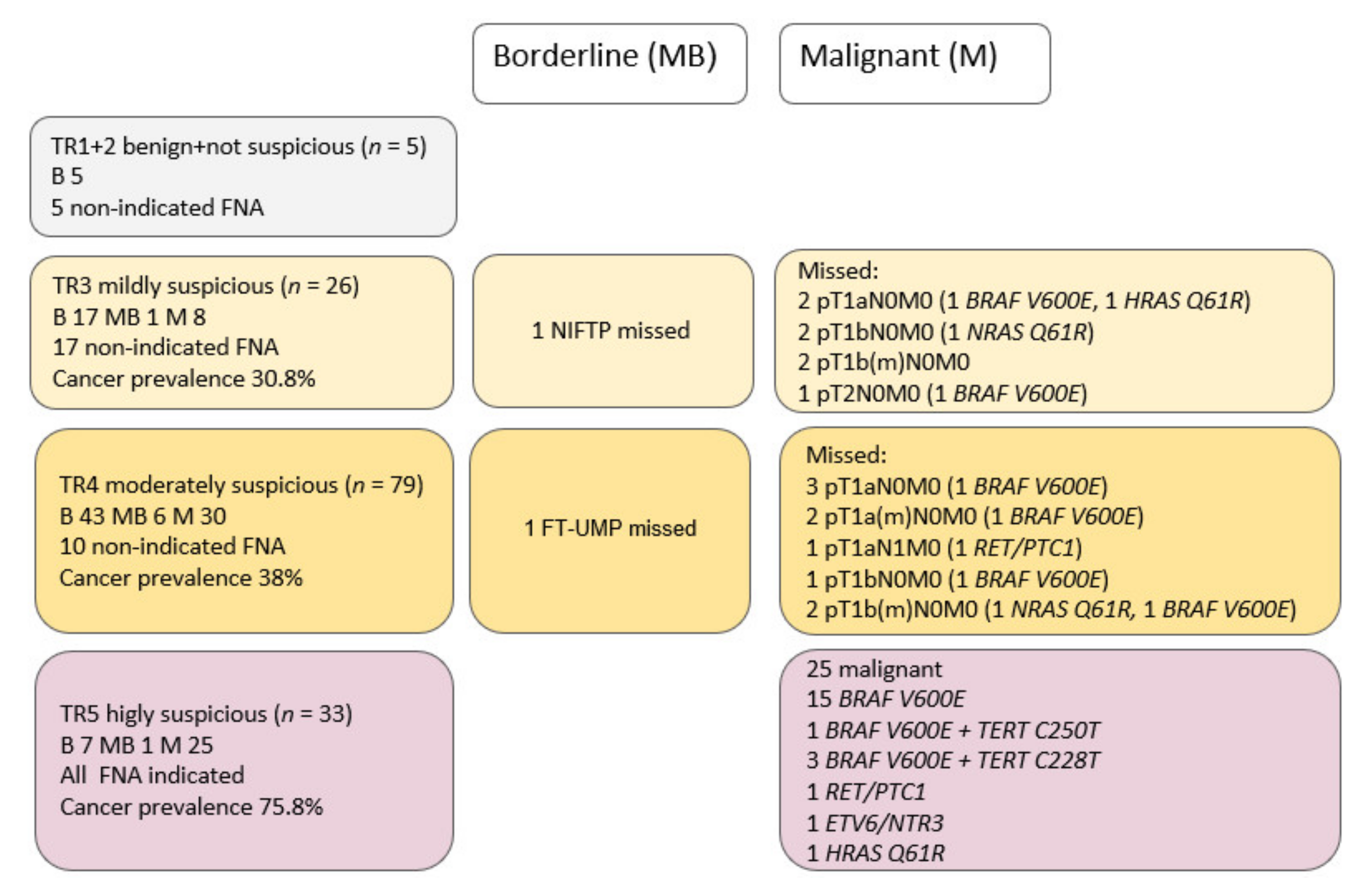 Biomedicines 10 00954 g002 550