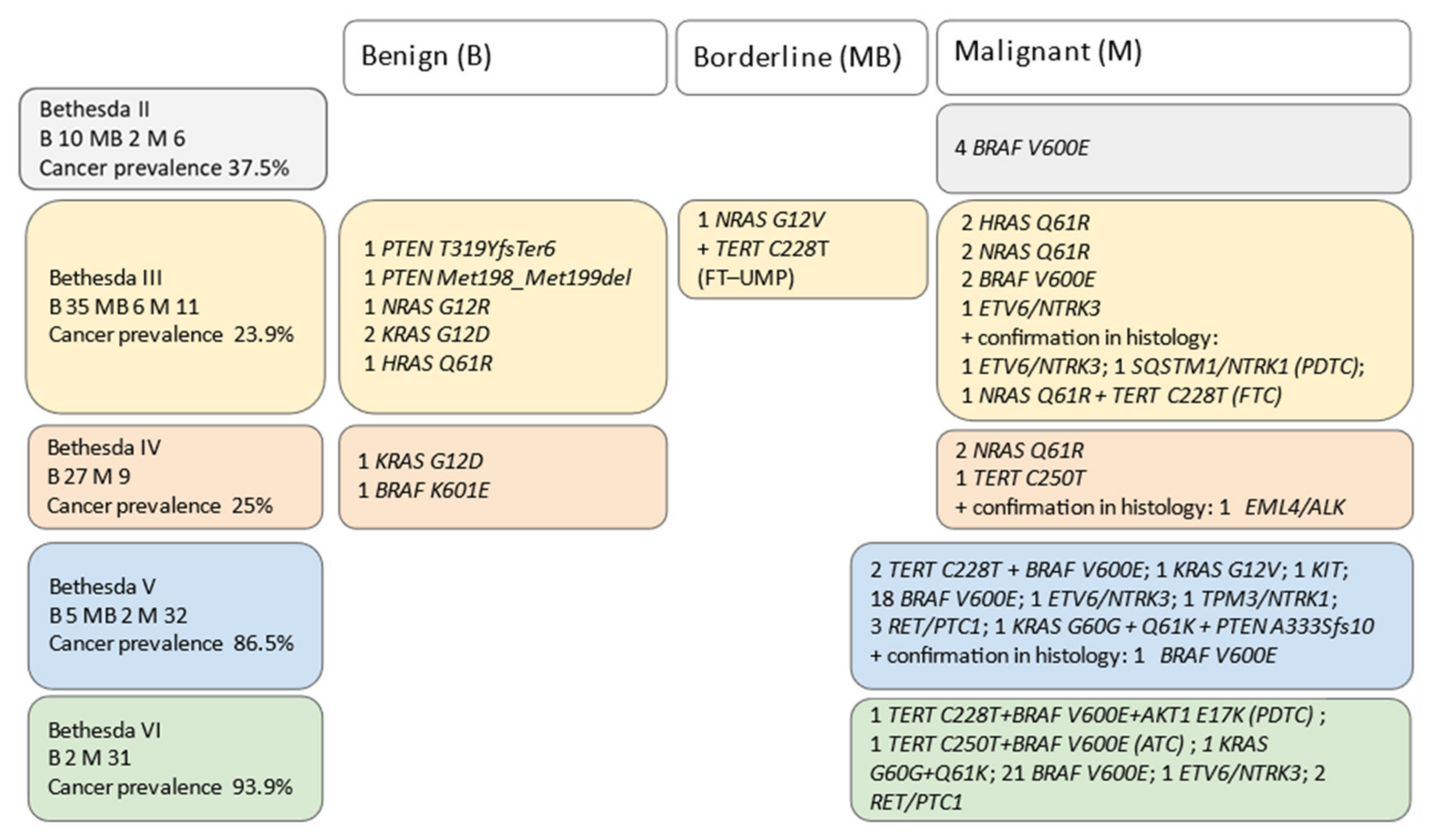 Biomedicines 10 00954 g003 550