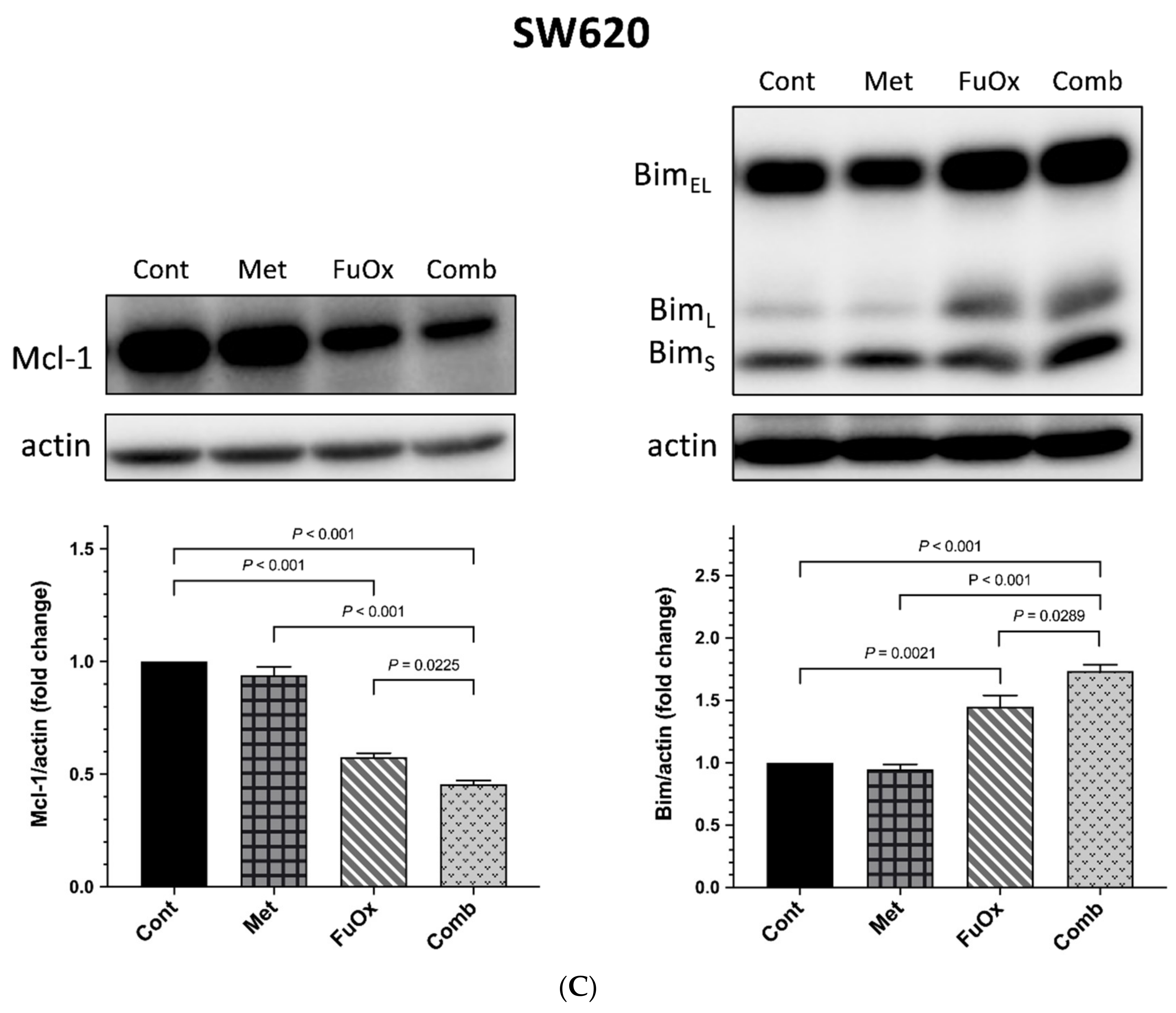 Biomedicines 10 00955 g005b