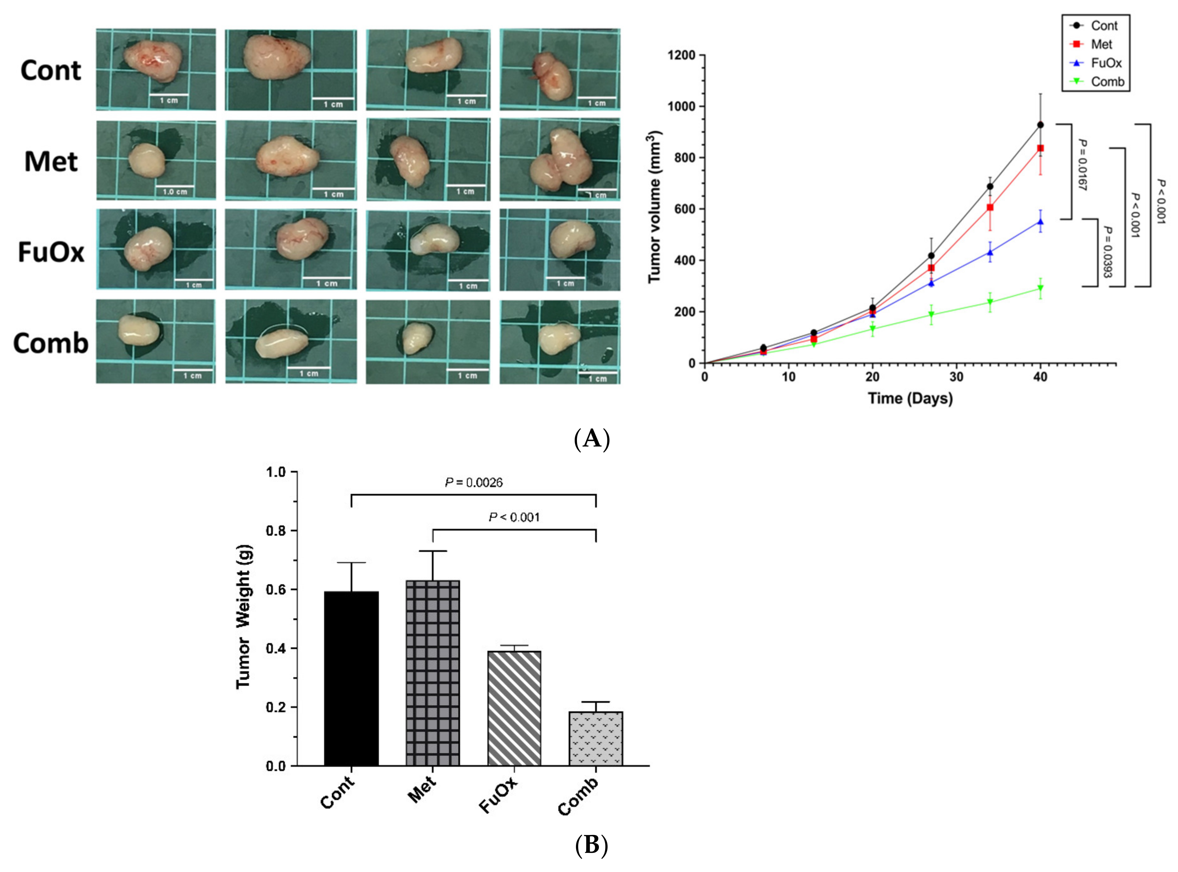 Biomedicines 10 00955 g006