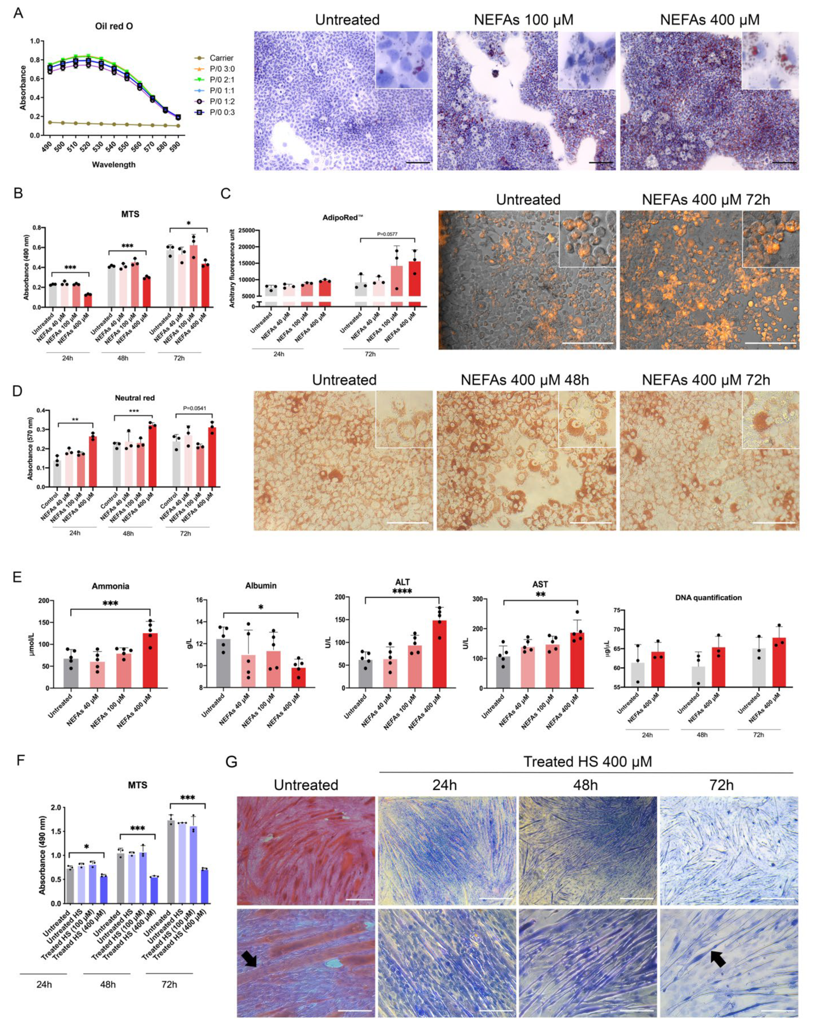Biomedicines 10 00958 g002 550