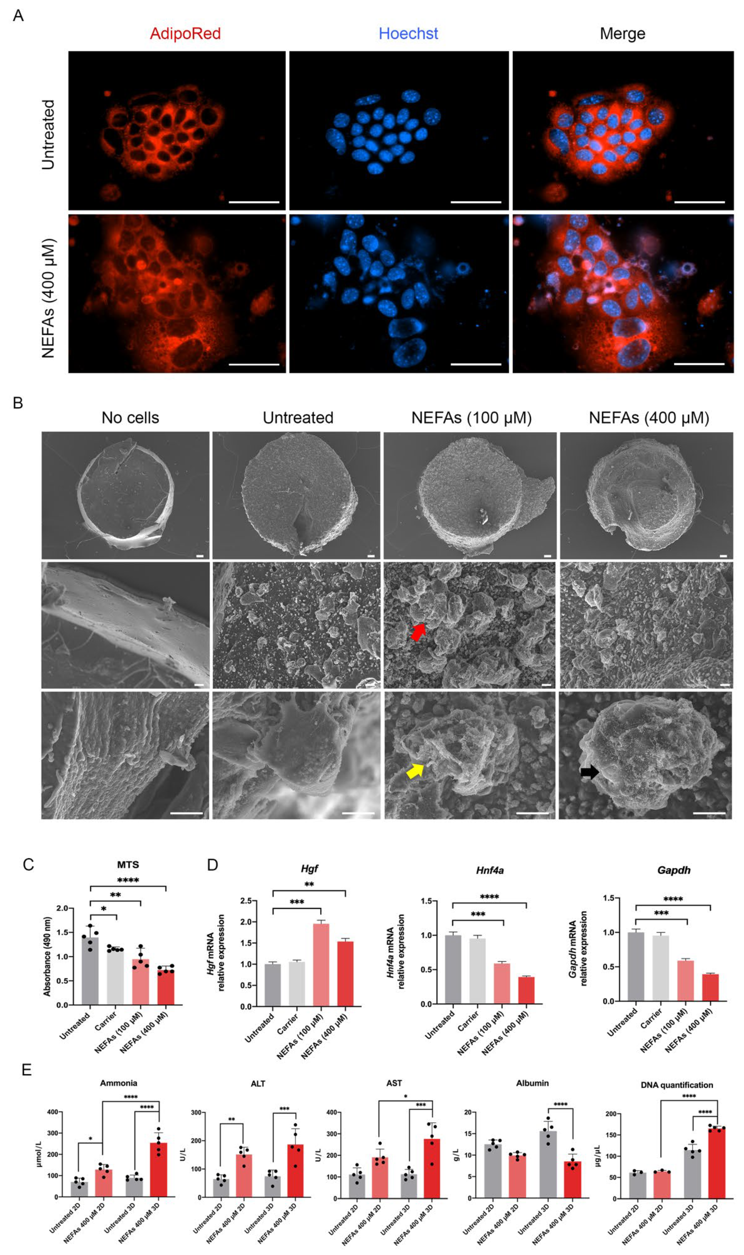 Biomedicines 10 00958 g004 550