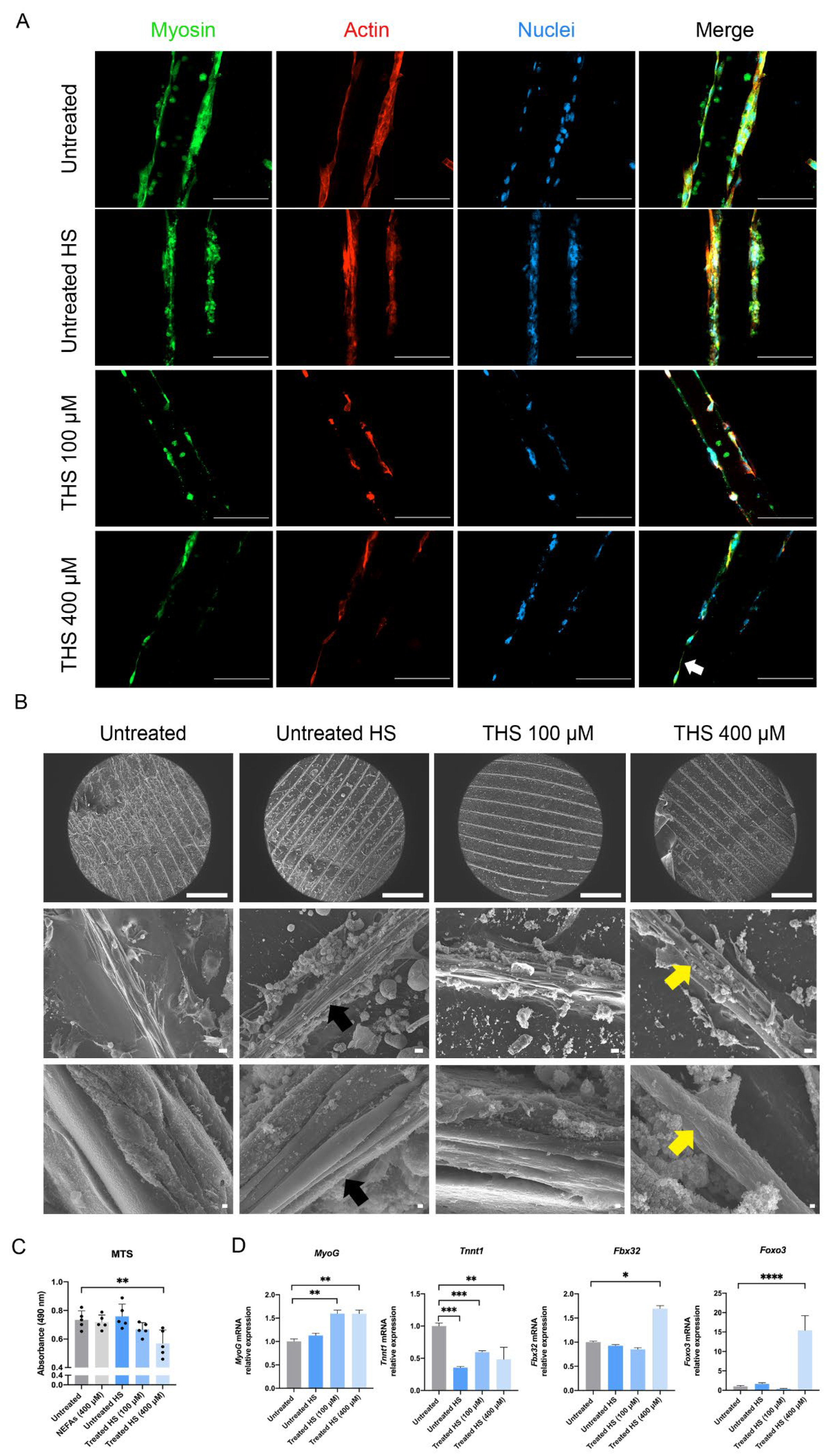 Biomedicines 10 00958 g005 550