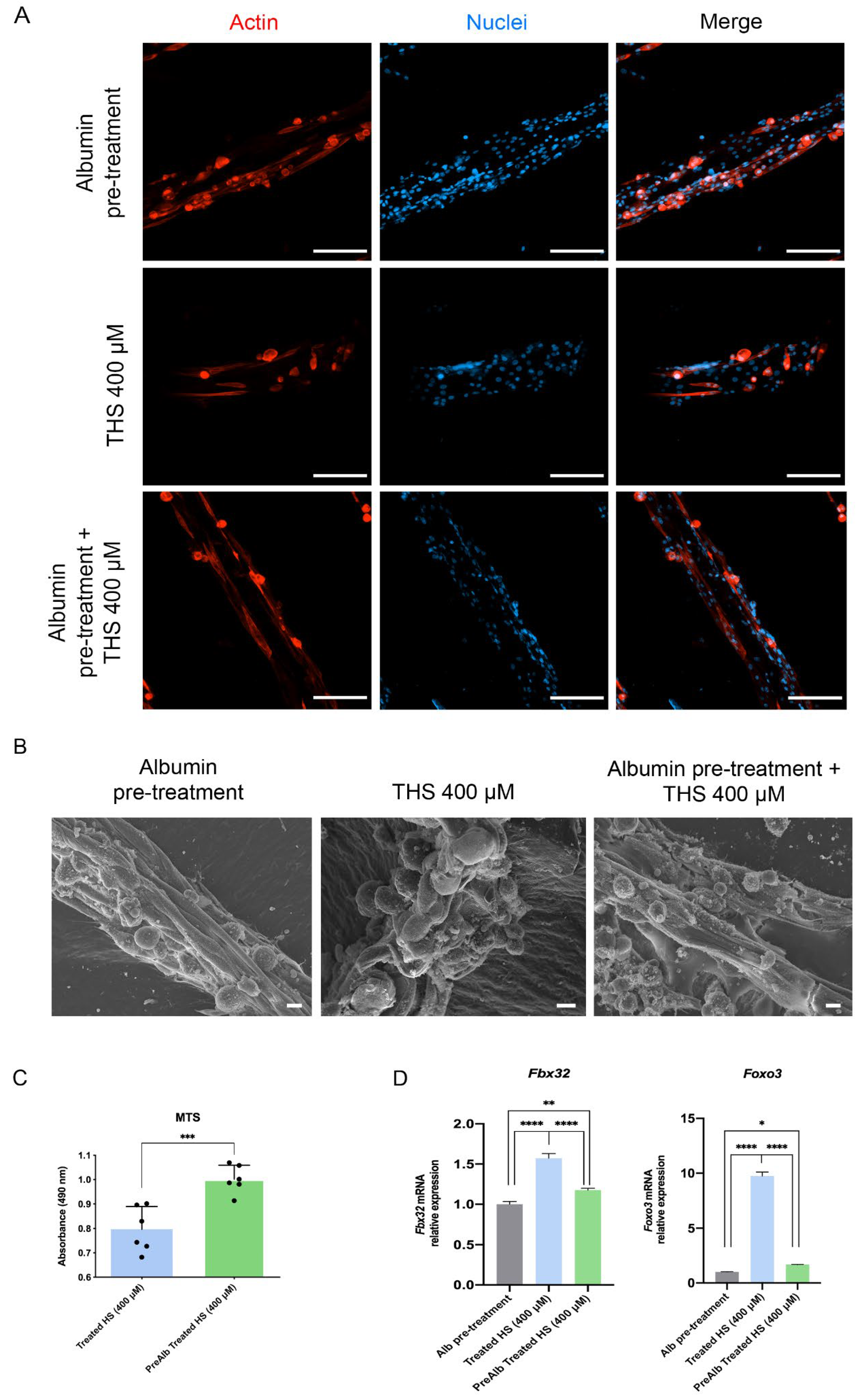 Biomedicines 10 00958 g007 550