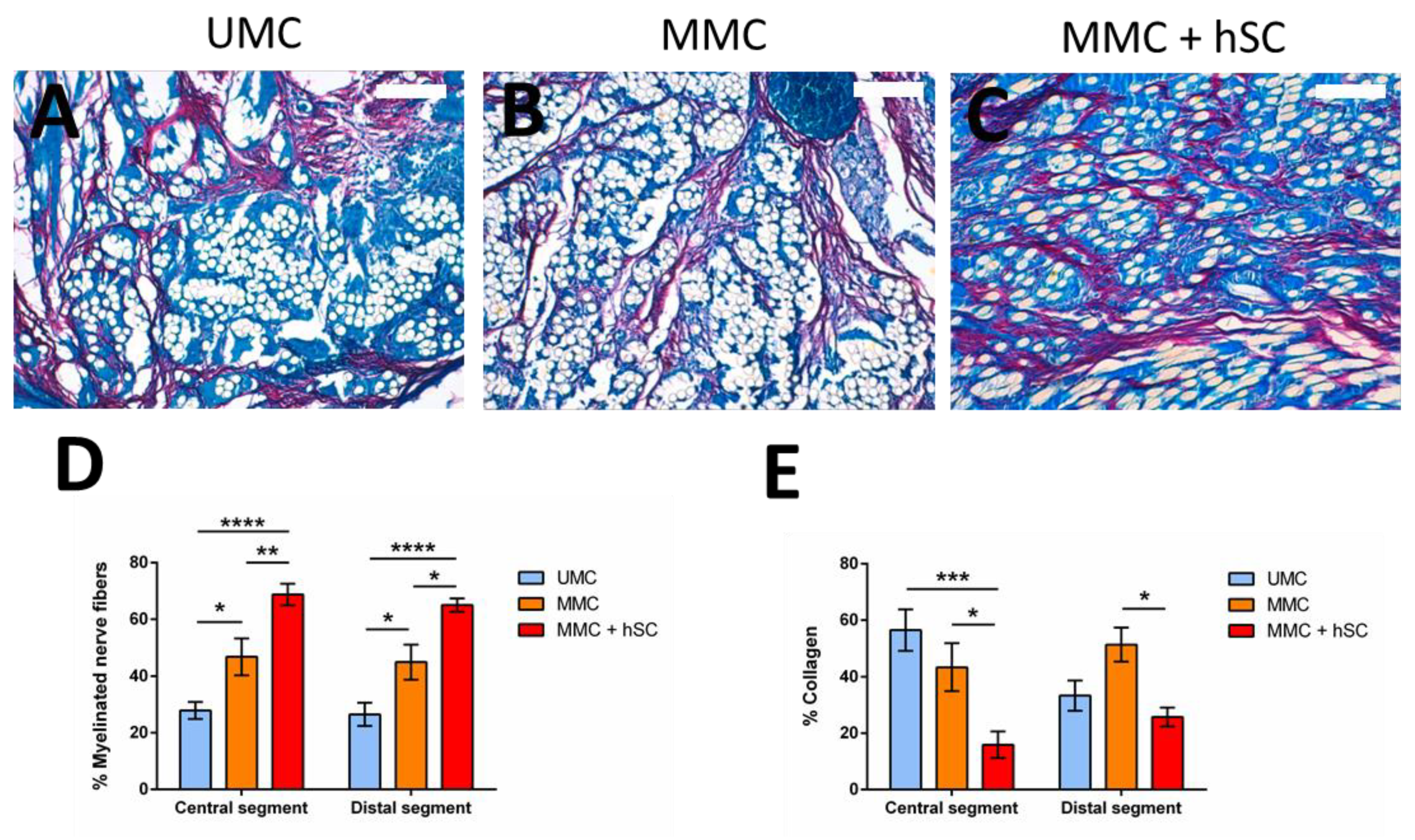 Biomedicines 10 00963 g009