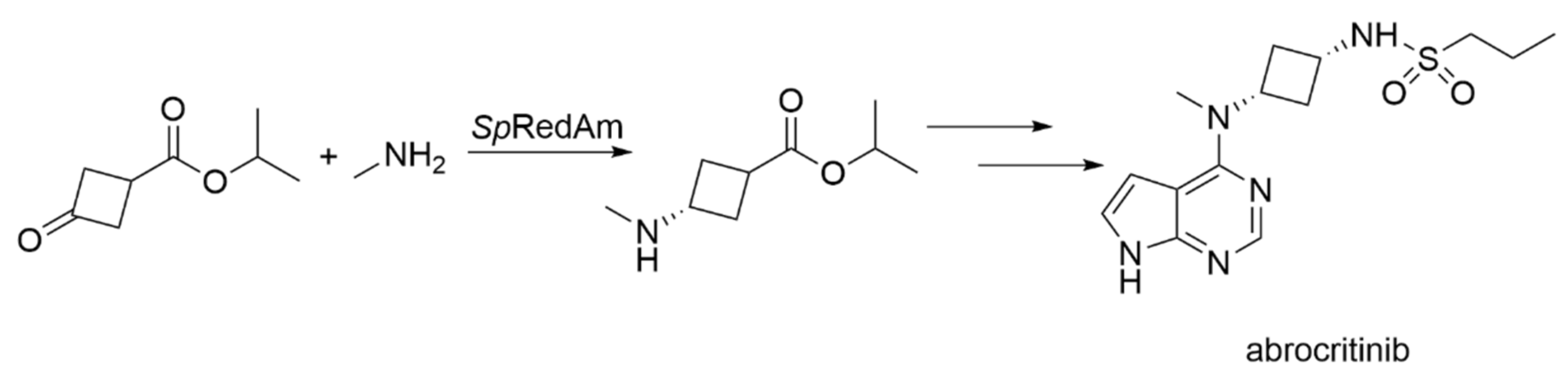 Biomedicines 10 00964 g003